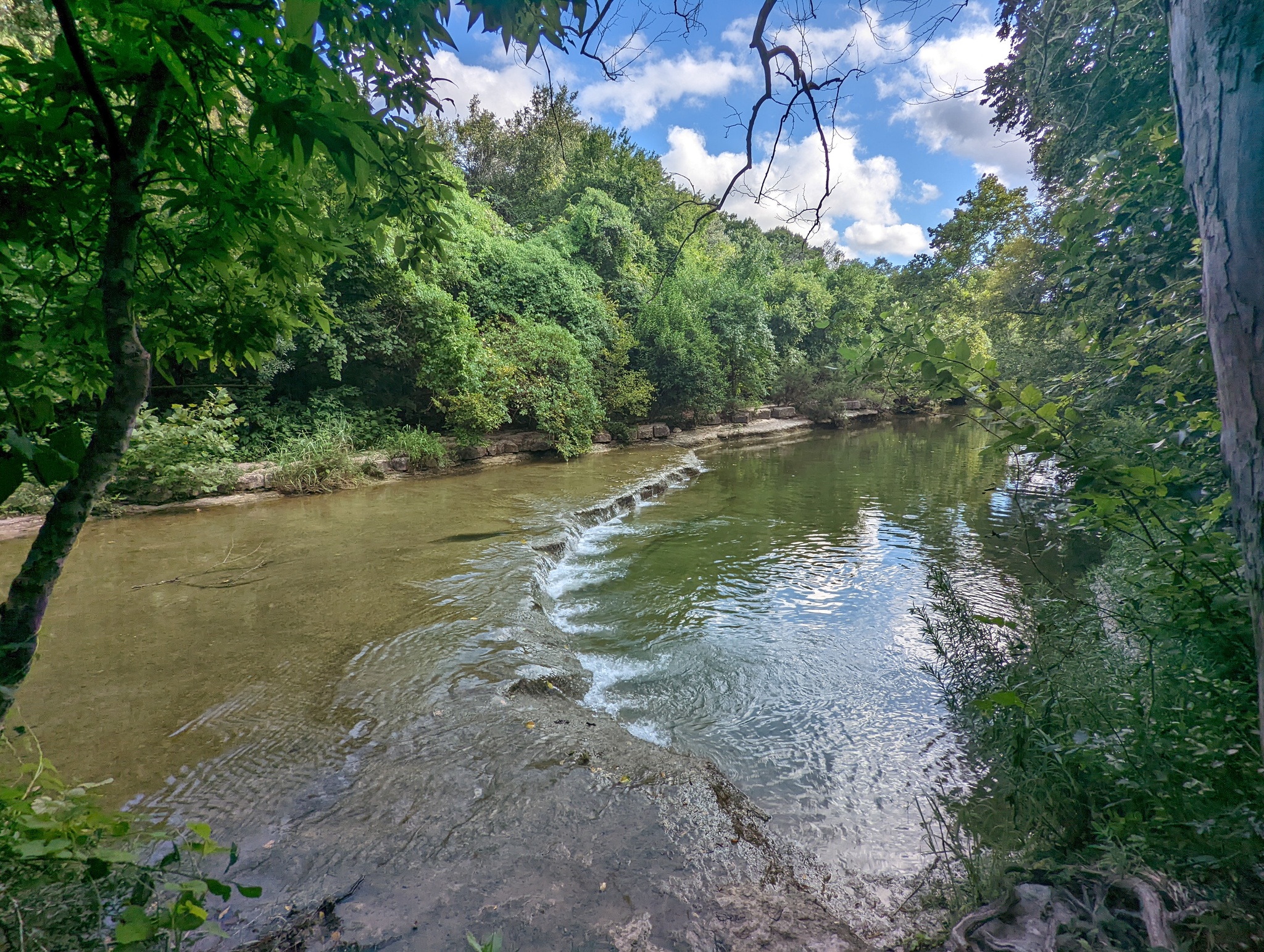 Hi all - My, Nature, Texas, The photo, Mobile photography, Longpost, Pond, The park, Lake, Beautiful view, Abroad, South, Ocean, USA