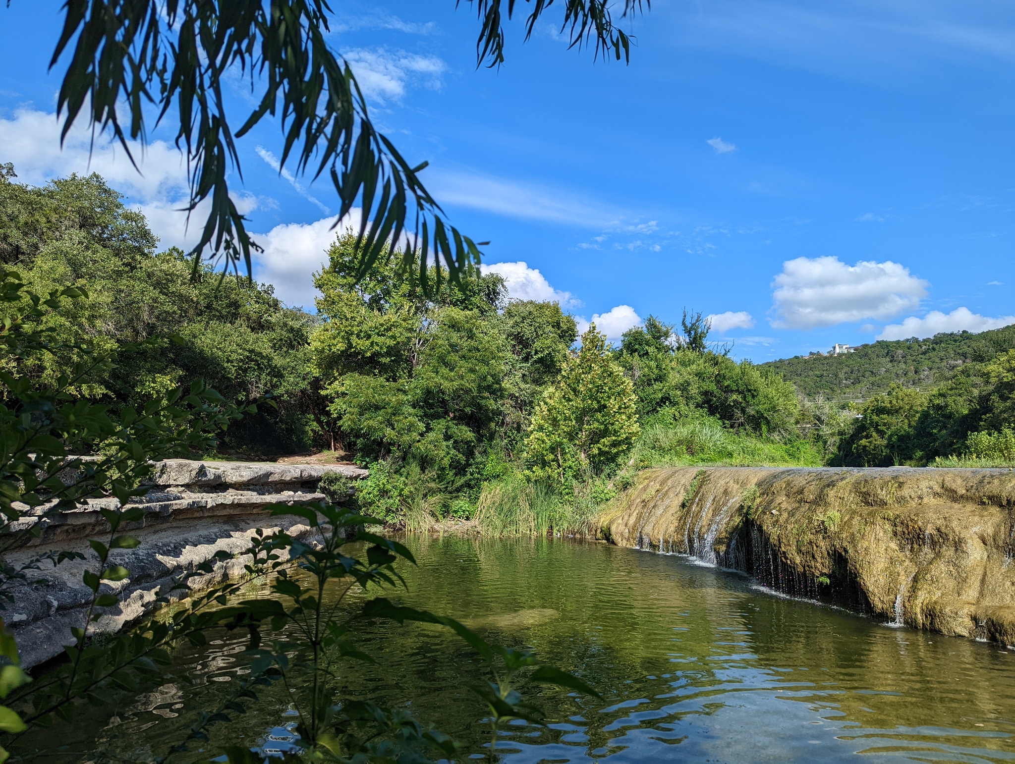 Hi all - My, Nature, Texas, The photo, Mobile photography, Longpost, Pond, The park, Lake, Beautiful view, Abroad, South, Ocean, USA