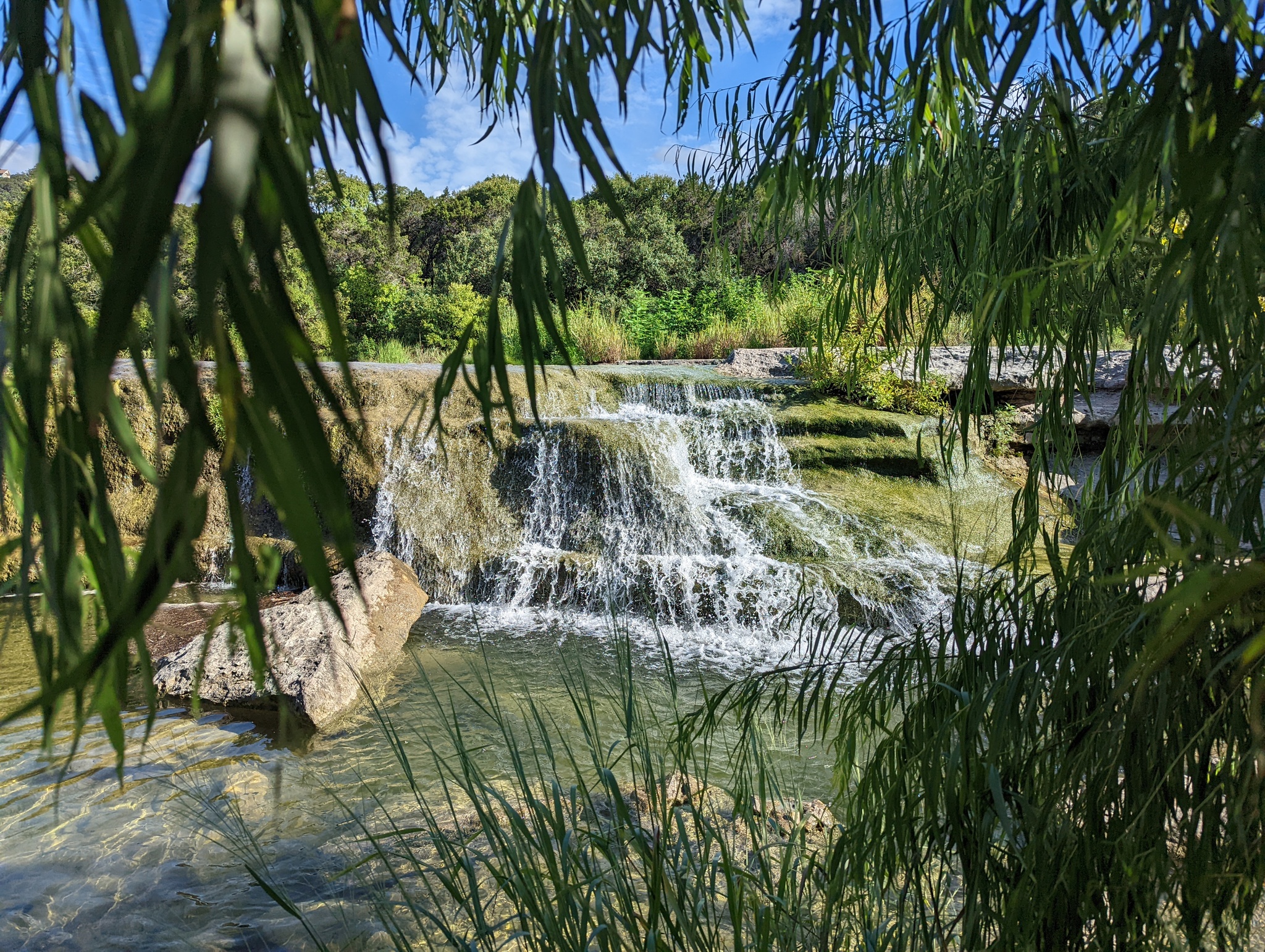 Hi all - My, Nature, Texas, The photo, Mobile photography, Longpost, Pond, The park, Lake, Beautiful view, Abroad, South, Ocean, USA