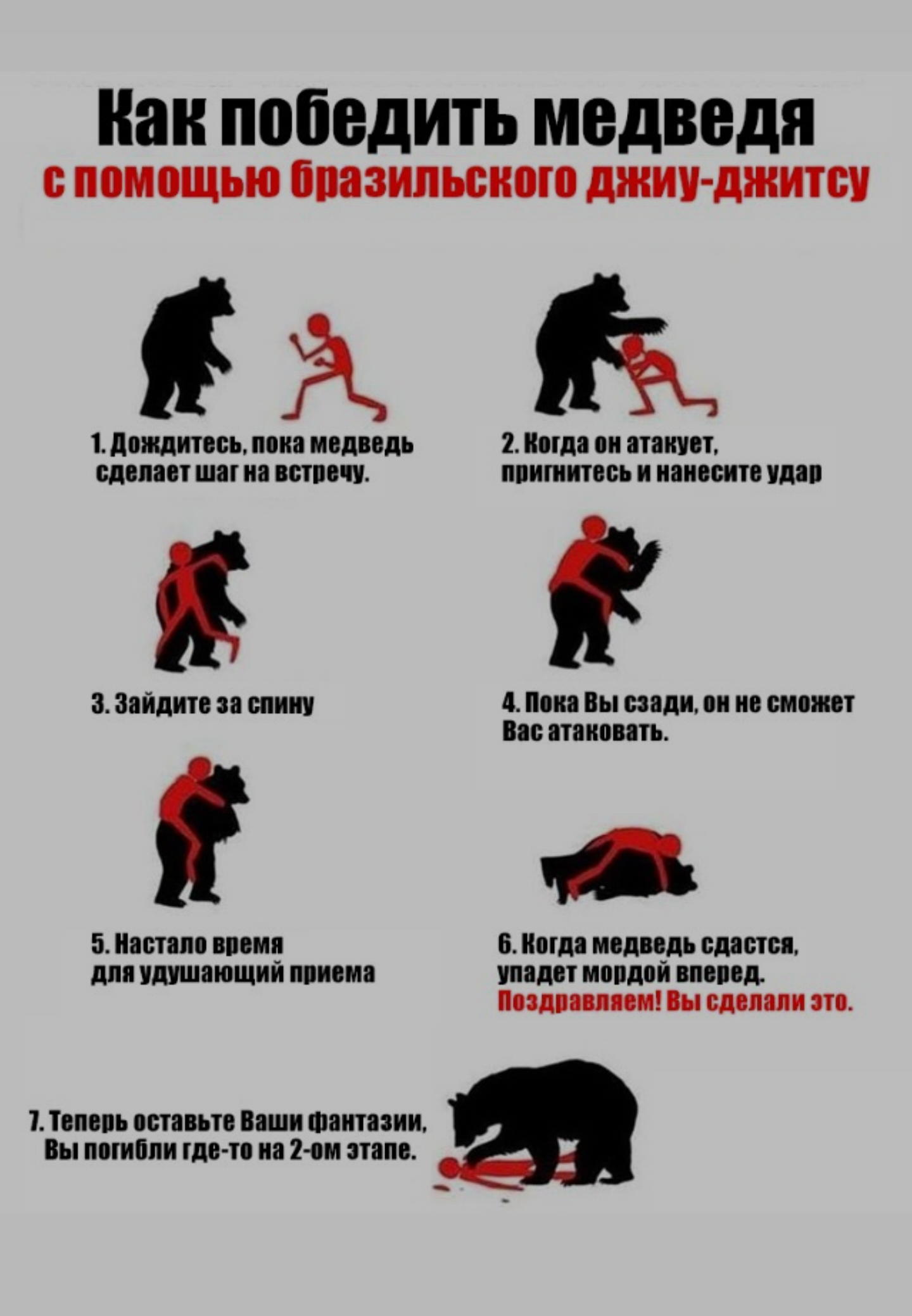 What to do if you meet a bear - Humor, The Bears, Robot Chicken, Survival, Animals, wildlife, Video, Longpost