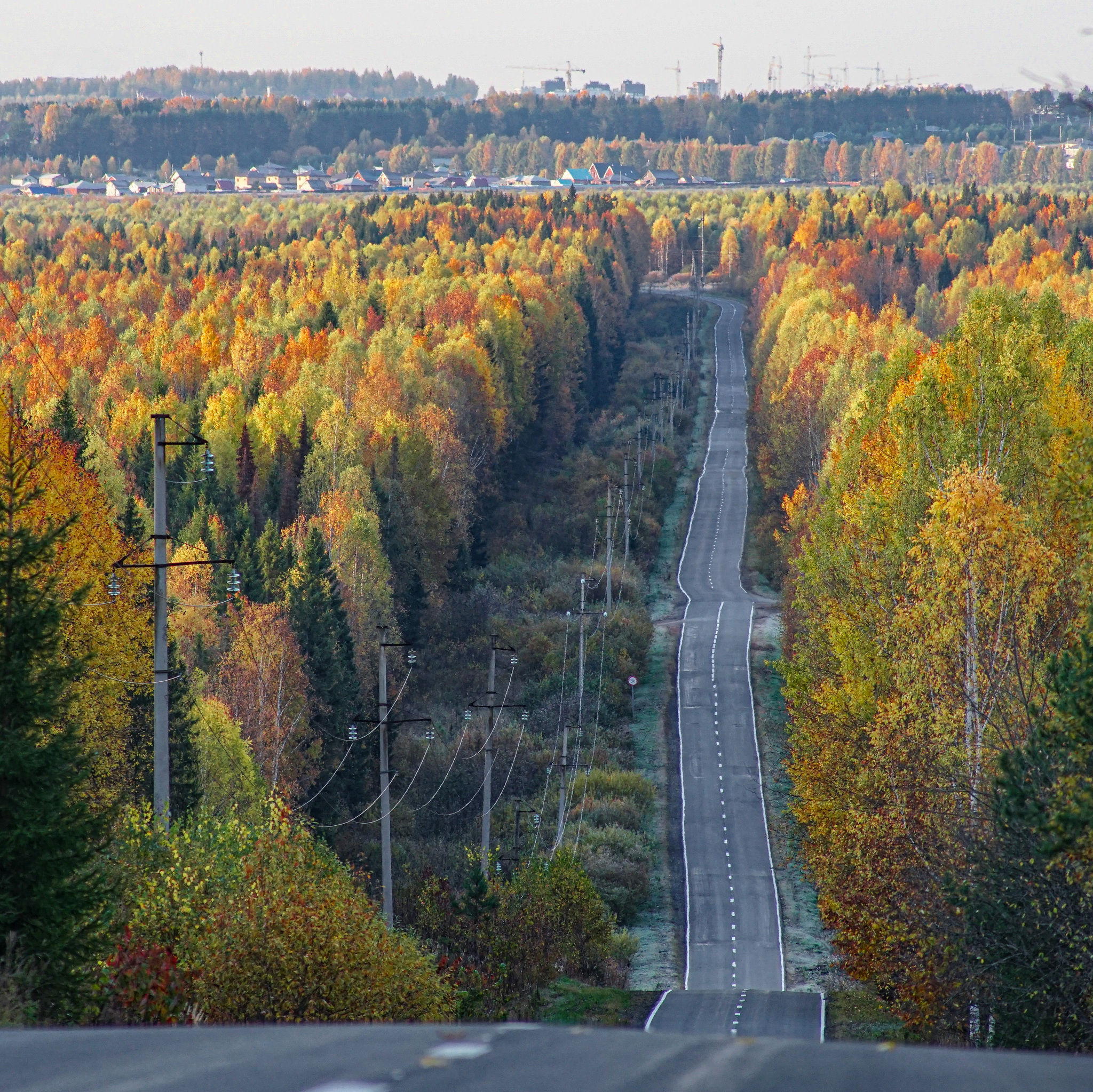 Что такое осень... - Моё, Пейзаж, Осень, Дорога, Удмуртия, Лес