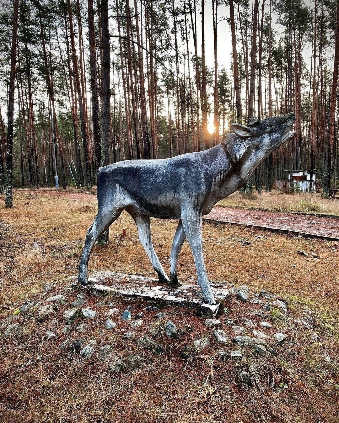 Abandoned pioneer camp. Oh, how many memories there are in these photographs... - the USSR, Made in USSR, Longpost, Pioneers, Pioneer camp, The photo, A selection, Abandoned