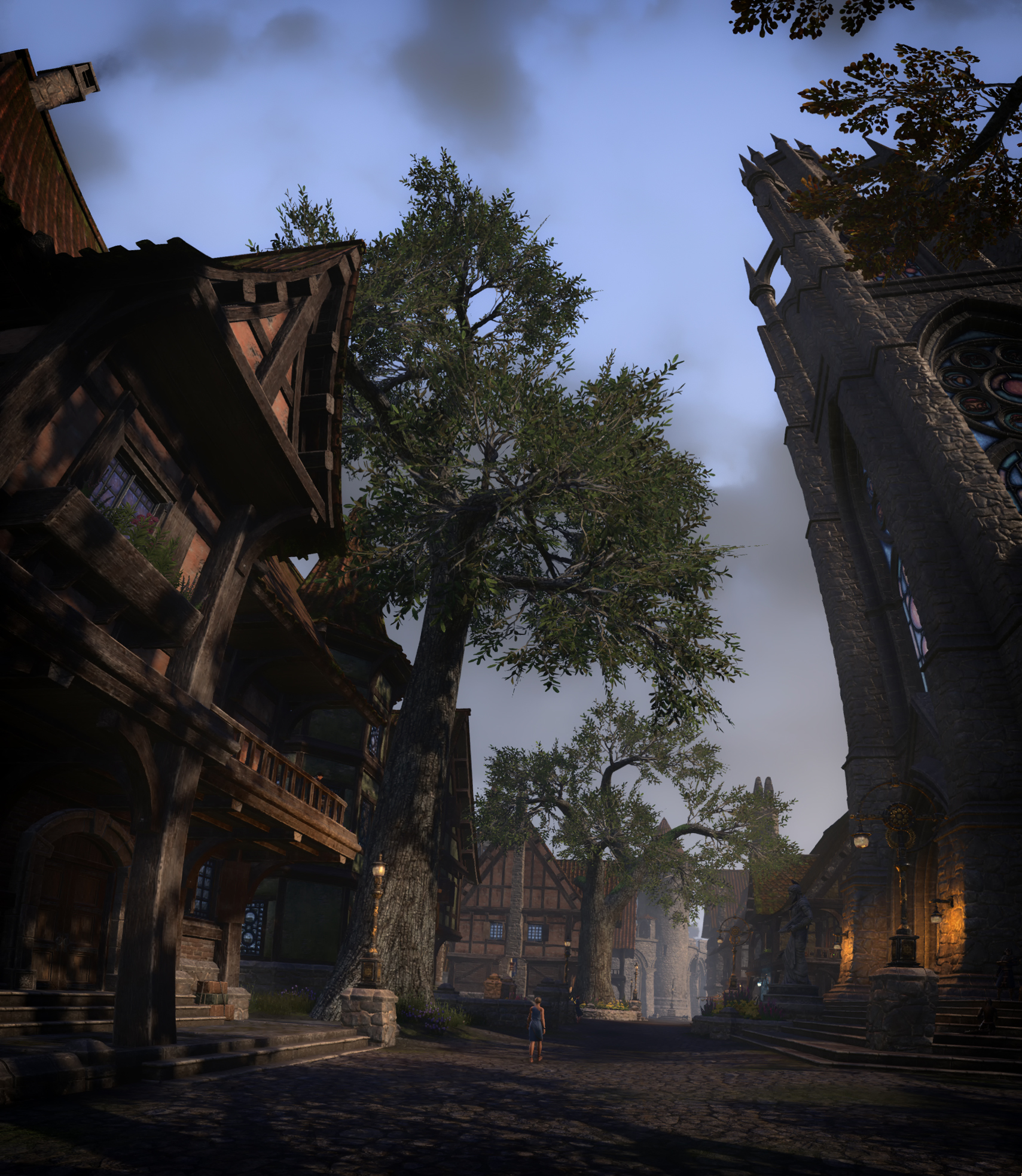 Reply to the post Sunset in Leyawiin - Bethesda, The elder scrolls, RPG, Tamriel, Cyrodile, Screenshot, The Elder Scrolls Online, MMO, Reply to post