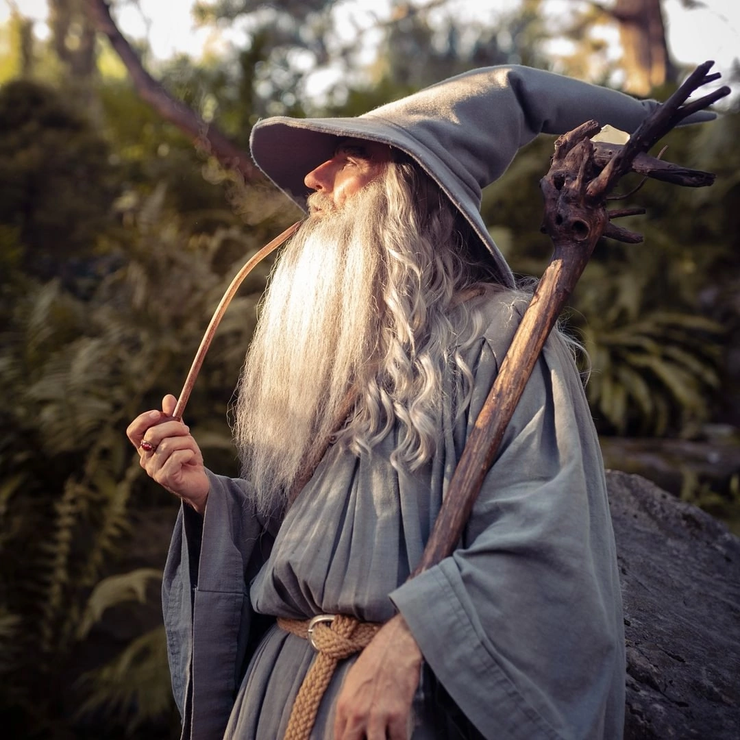 Gandalf | Lord of the Rings - Cosplay, Gandalf, Lord of the Rings, Tolkien, Movies, The photo, Longpost