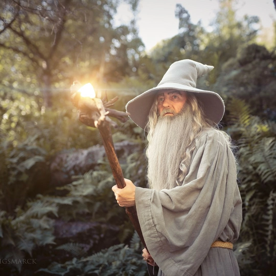 Gandalf | Lord of the Rings - Cosplay, Gandalf, Lord of the Rings, Tolkien, Movies, The photo, Longpost