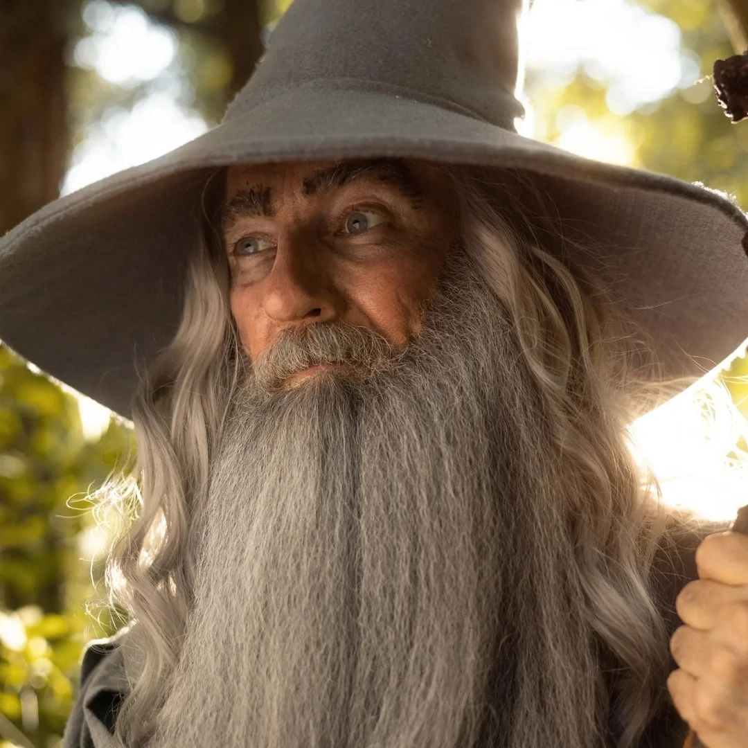 Gandalf | Lord of the Rings - Cosplay, Gandalf, Lord of the Rings, Tolkien, Movies, The photo, Longpost