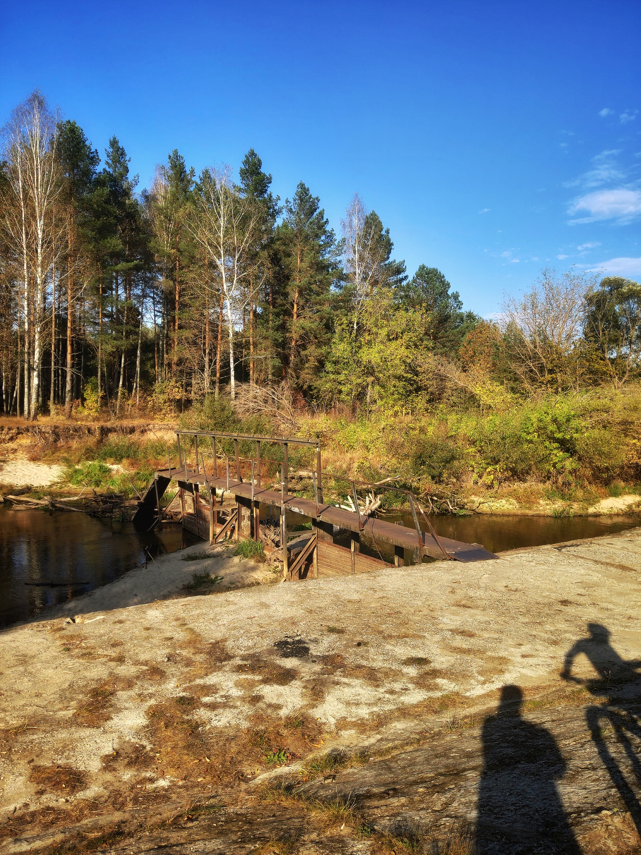 Bike Trip - 02 Bike Adventure in the Forest, Path to Beloberezhskoye Reservoir - My, Bike ride, Bike trip, Cyclist, A bike, Bryansk, Cycling, Camping, Bryansk region, Forest, Video, Youtube, Longpost