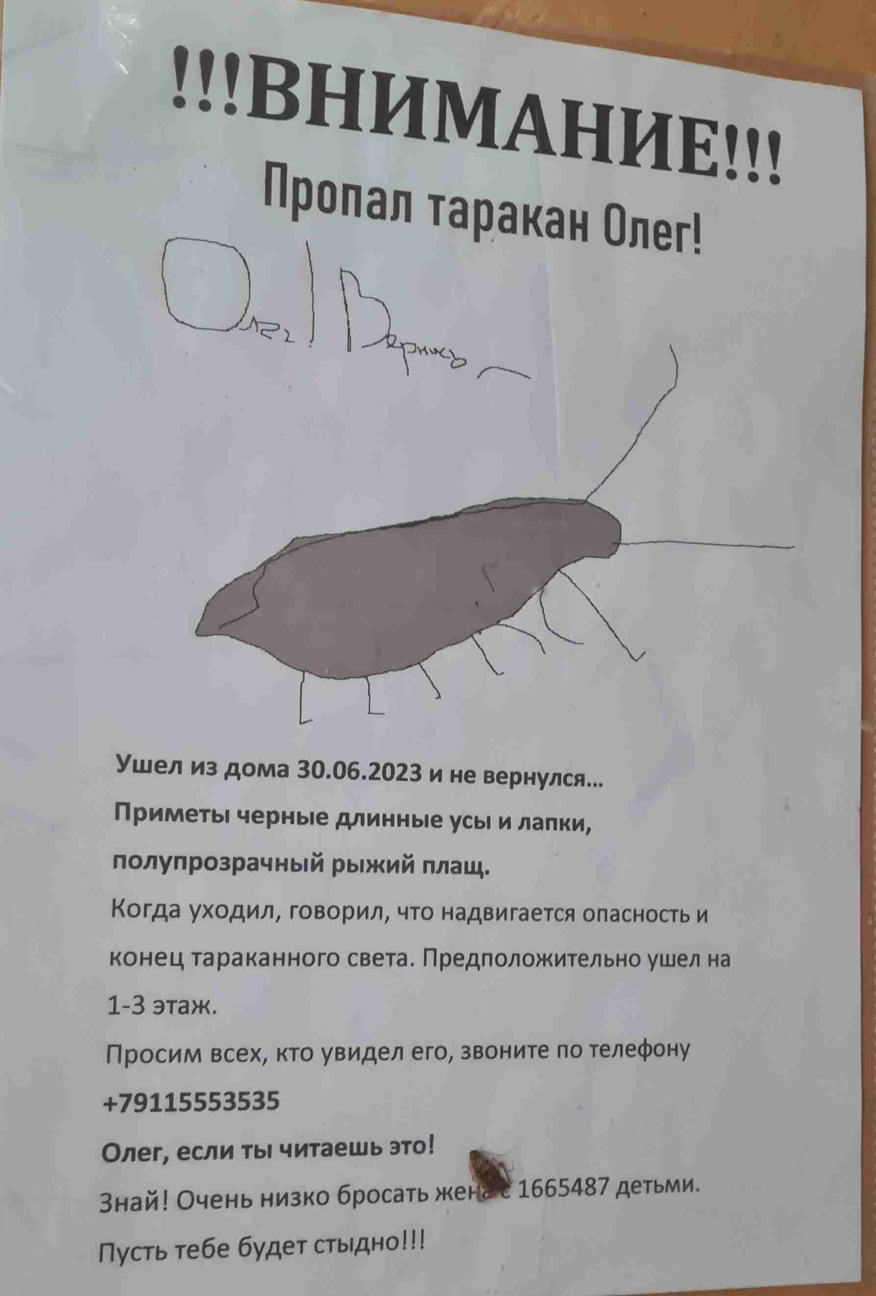 Why are you like this, Oleg... - My, Humor, Dormitory, Cockroaches, Announcement