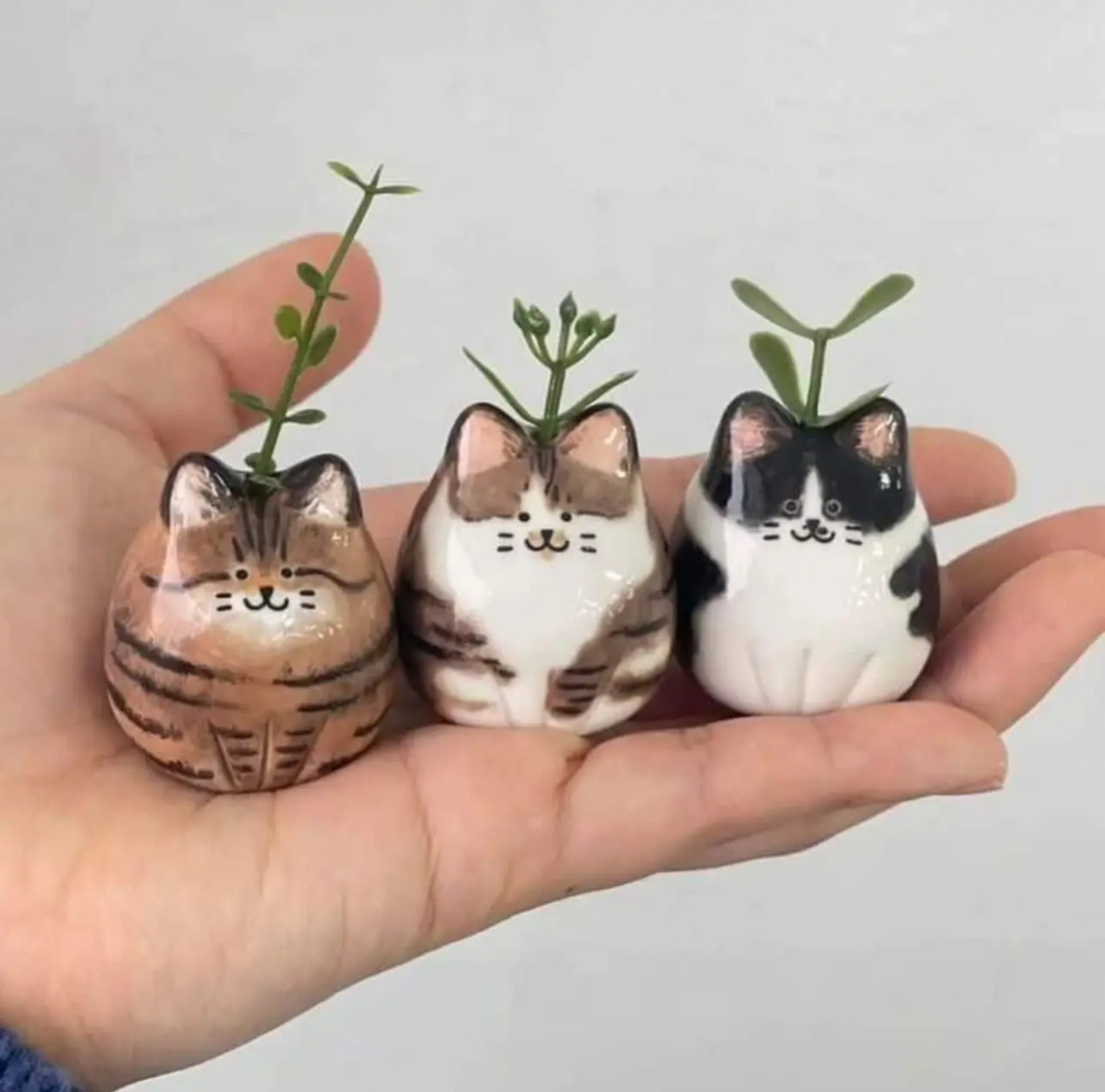 Cute pots - cat, Flower pot