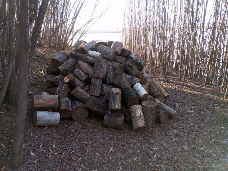 Life on the TDS in the taiga. Collecting firewood and saying goodbye to people - My, Weather station, Taiga, Good people, Communication, Firewood, Stock, Talk, Longpost