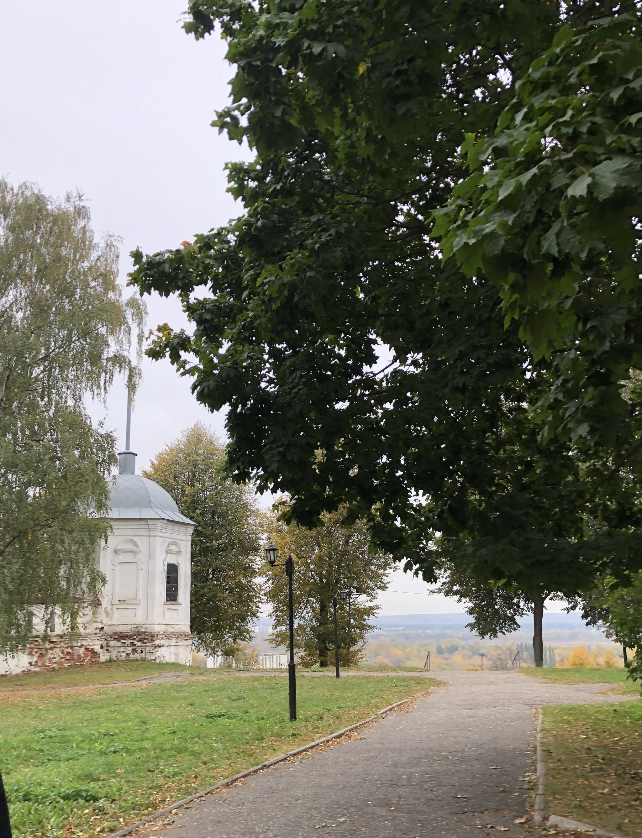 The city of Vladimir in October - My, Vladimir city, Gold ring of Russia, Dmitrievsky Cathedral, Autumn, Longpost