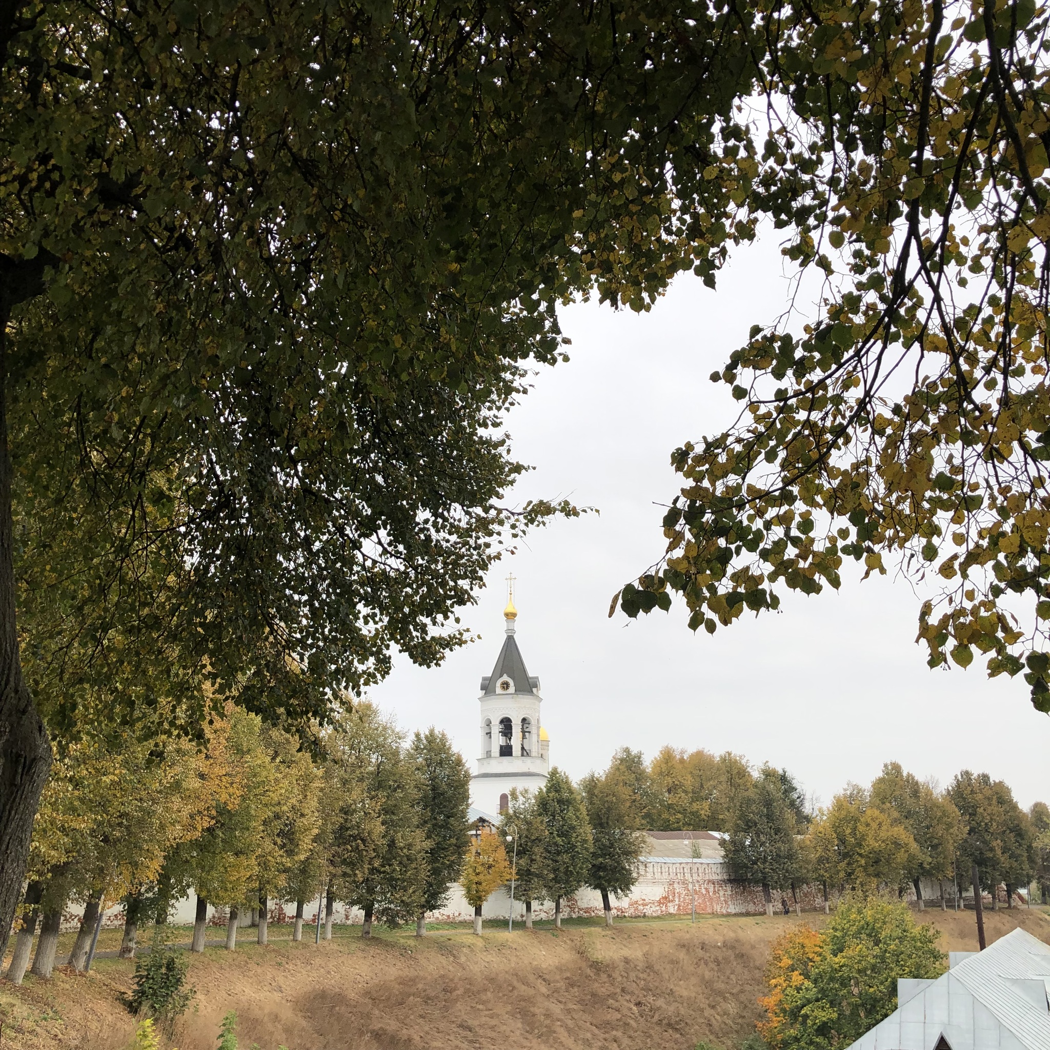 The city of Vladimir in October - My, Vladimir city, Gold ring of Russia, Dmitrievsky Cathedral, Autumn, Longpost