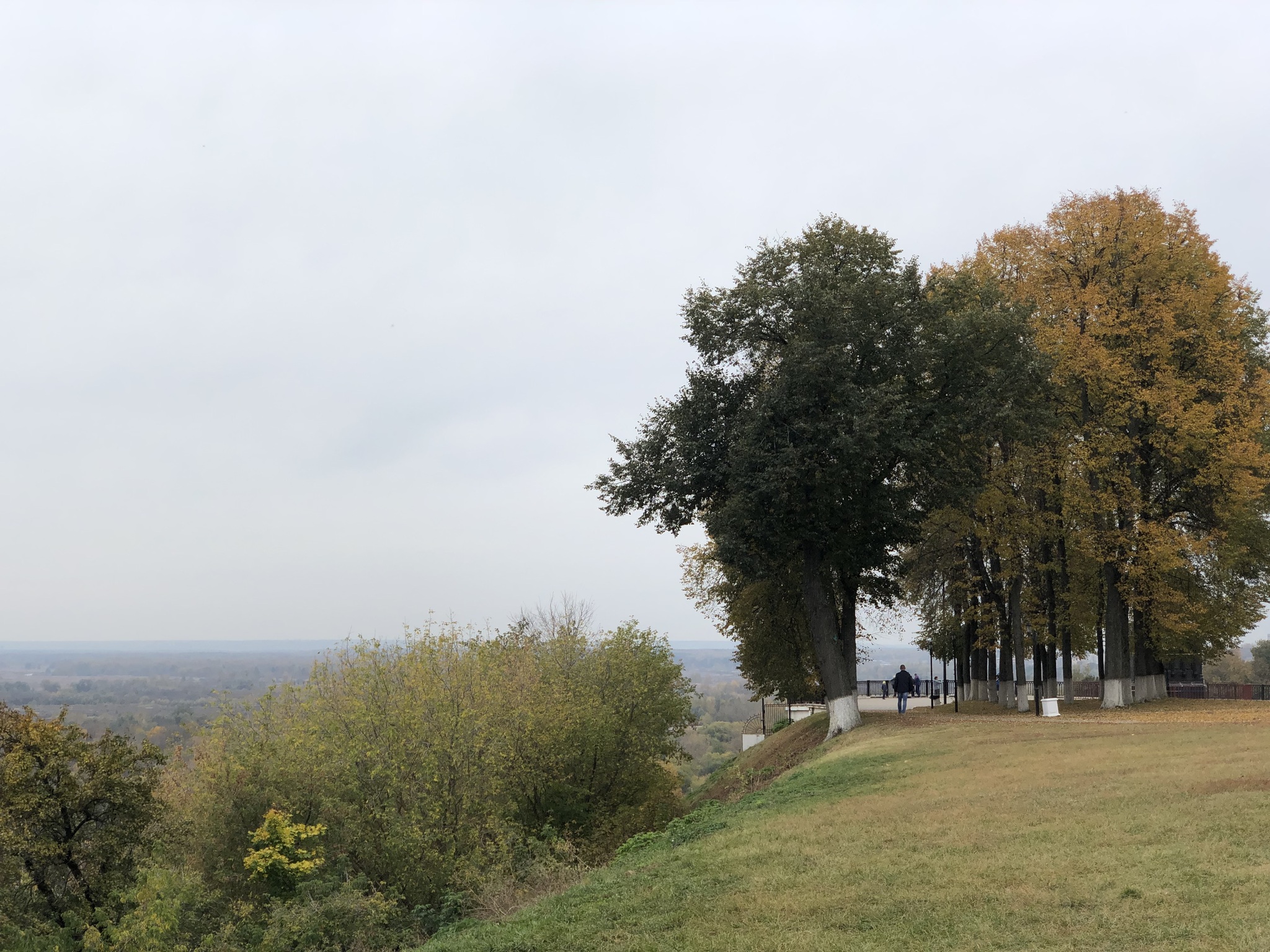 The city of Vladimir in October - My, Vladimir city, Gold ring of Russia, Dmitrievsky Cathedral, Autumn, Longpost