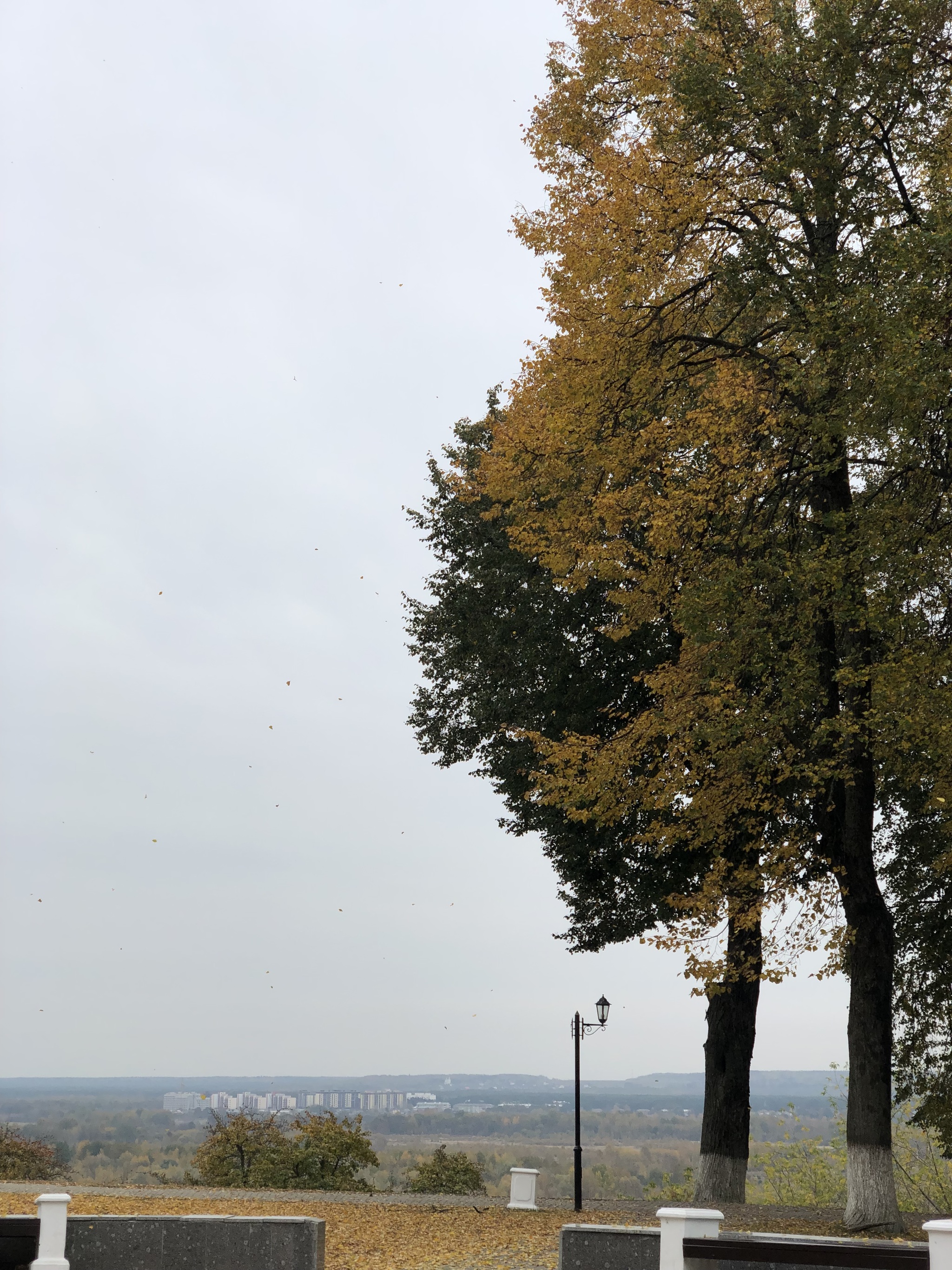 The city of Vladimir in October - My, Vladimir city, Gold ring of Russia, Dmitrievsky Cathedral, Autumn, Longpost