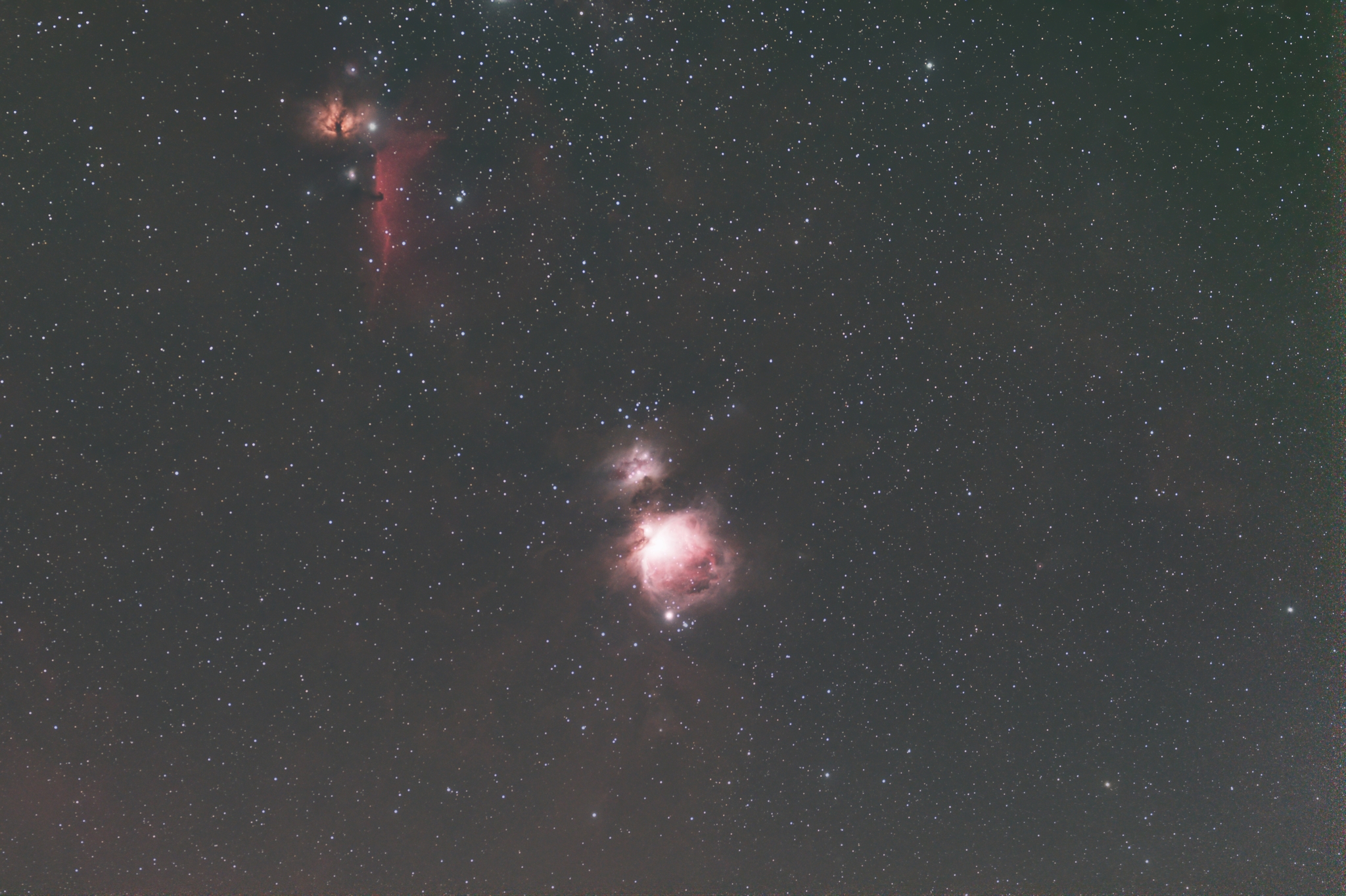 Orion Nebulae - My, Astrophoto, Stars, Starry sky, Night, Orion, Orion nebula, Nebula