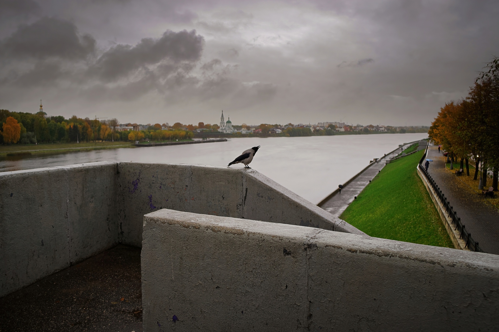 Атмосфера туманной осени в городе - Моё, Туман, Тверь, Фотография, Репортаж, Осень, Длиннопост