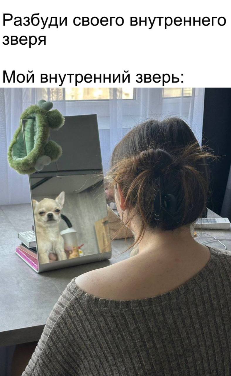 Best photo - Picture with text, Humor, Milota, Girls, Mirror, Reflection, Dog, Telegram (link)