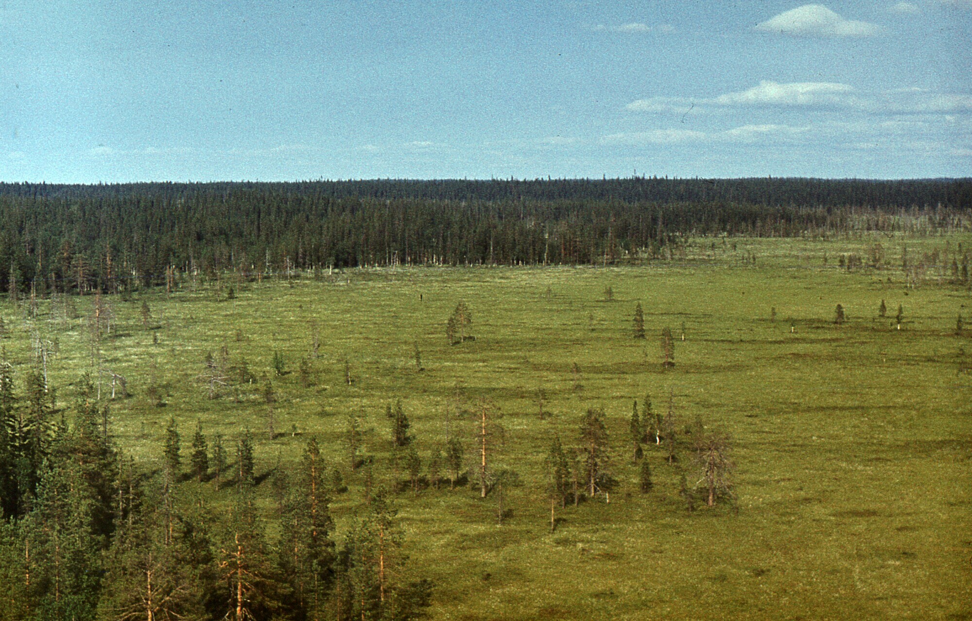 1988. Riding All-Terrain Vehicles, Part 4 - My, Geology, Geologists, Geodesy, Geophysics, geophysicists, Arkhangelsk region, Swamp, Summer practise, Students, Memories, 80-е, Life stories, Longpost