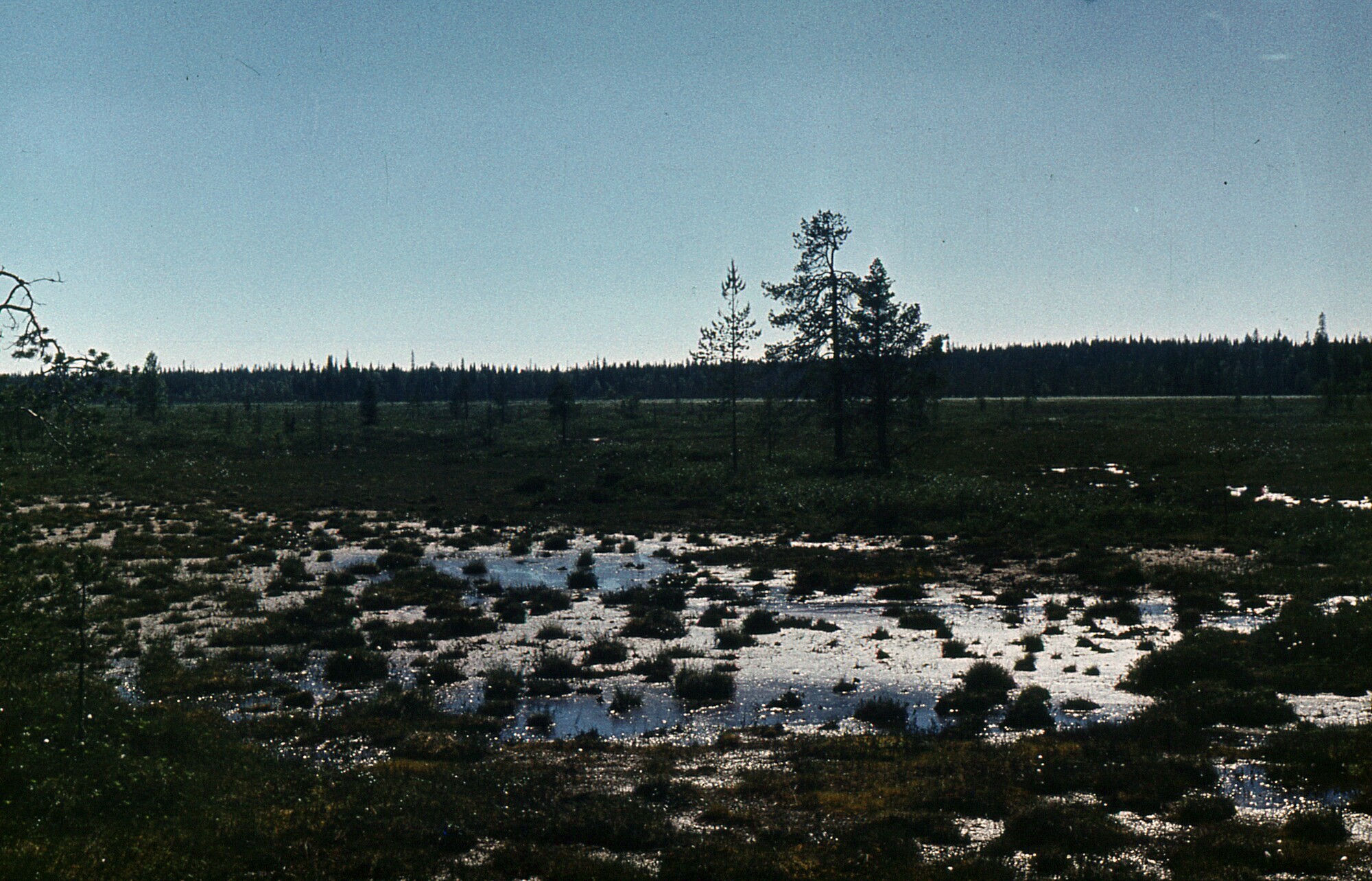 1988. Riding All-Terrain Vehicles, Part 4 - My, Geology, Geologists, Geodesy, Geophysics, geophysicists, Arkhangelsk region, Swamp, Summer practise, Students, Memories, 80-е, Life stories, Longpost