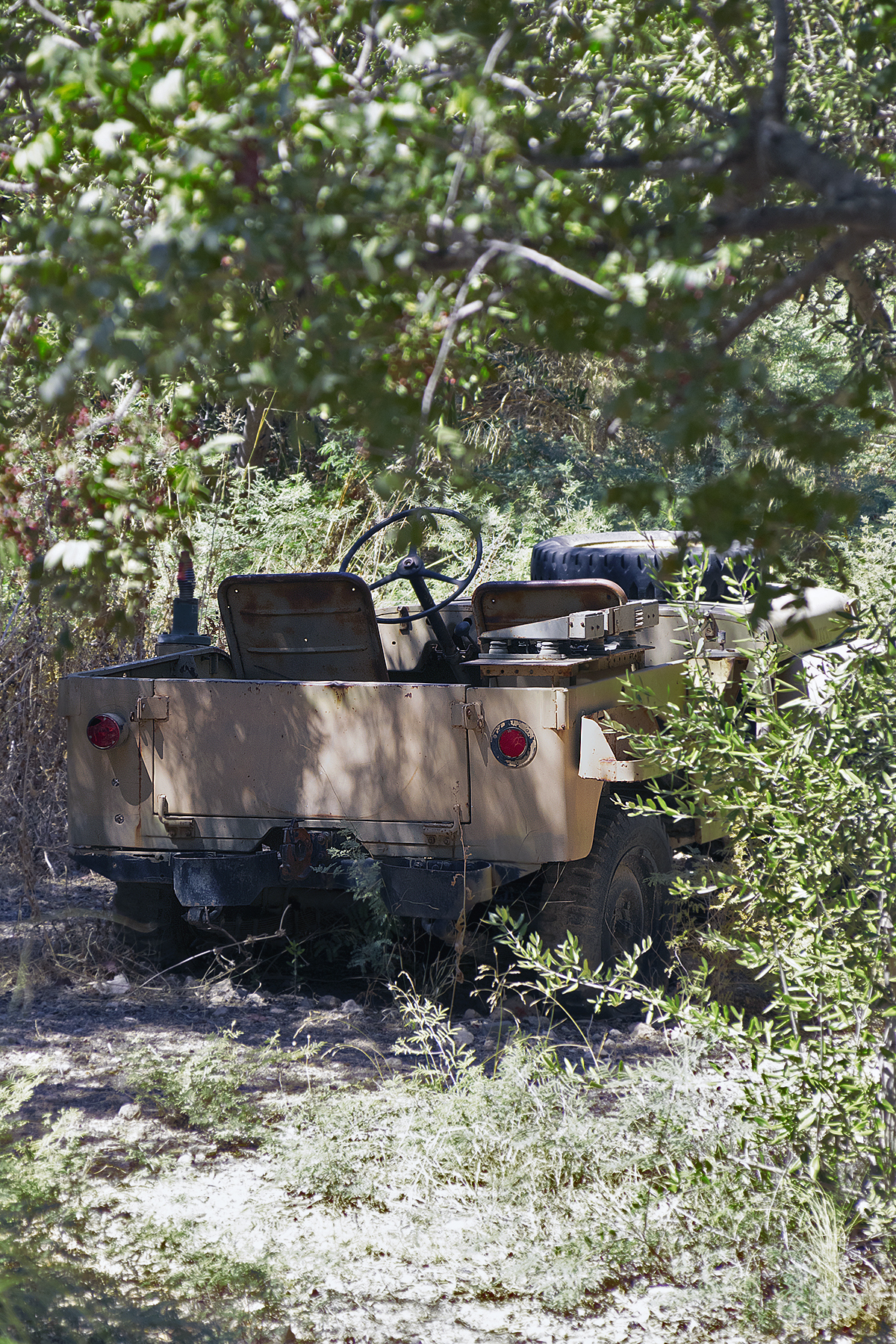 Tanks, tanks, tanks - My, Military history, Israel, Museum, Tanks, Armored vehicles, The photo, Military equipment, Longpost