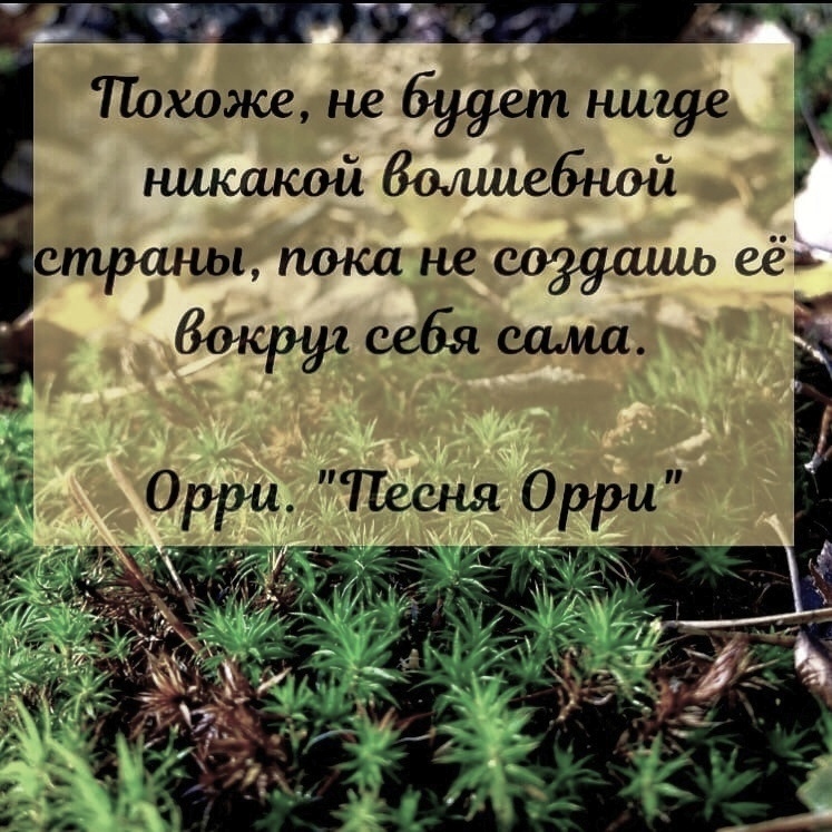 Орочий оракул - Моё, Философия, Мотиватор, Мотивация, Саморазвитие, Что почитать?, Ванильная цитата