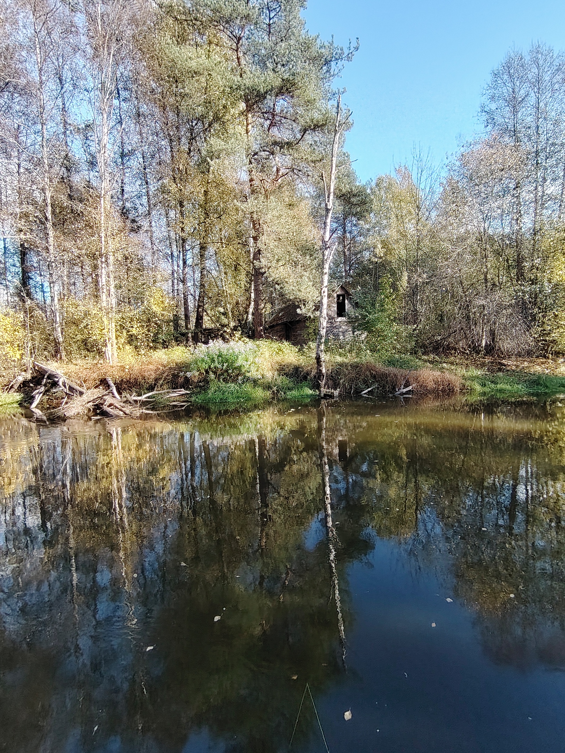 Погулял вдоль речки... - Отдых, Поход, Отдых на природе, Длиннопост