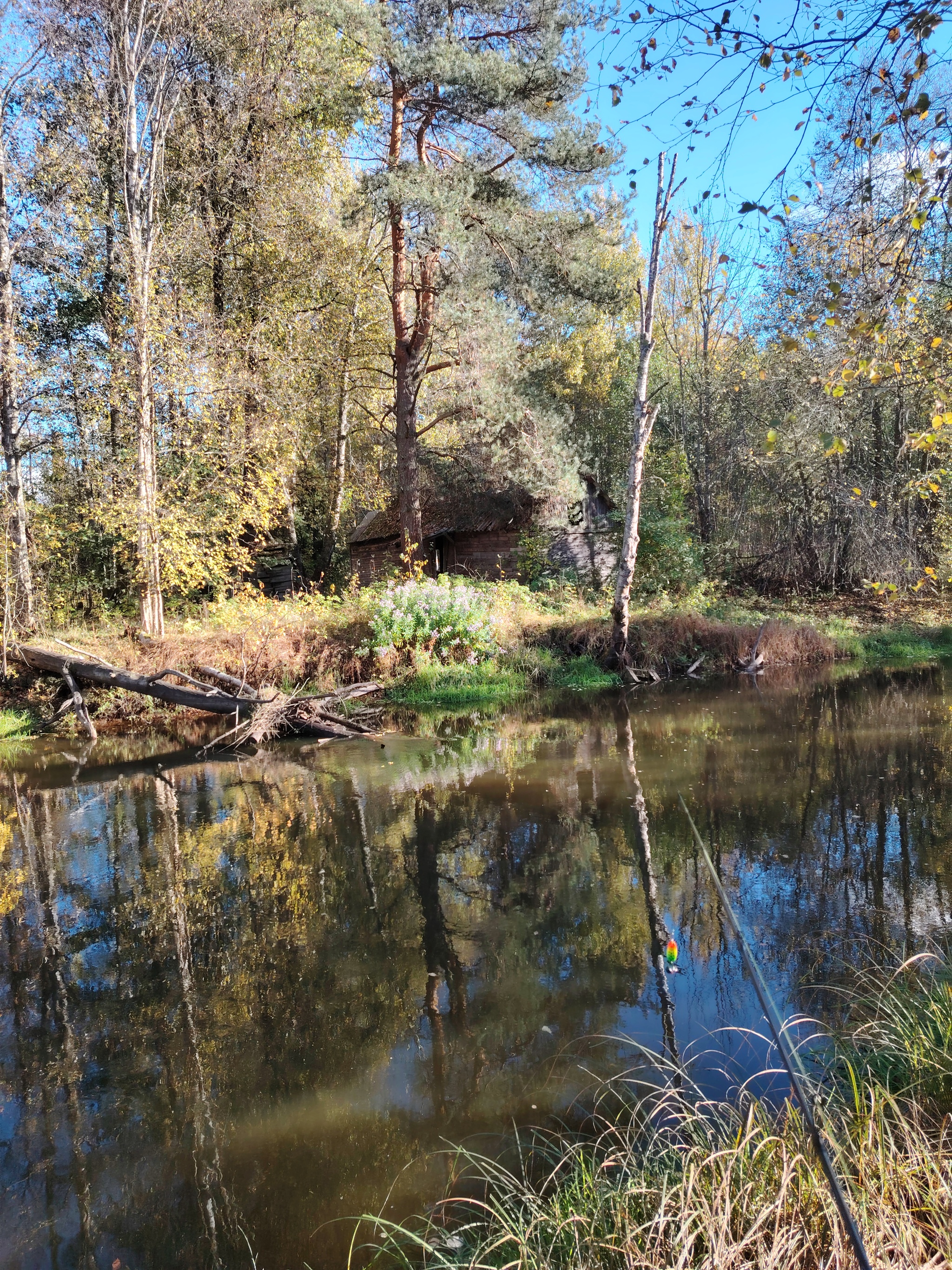 I walked along the river... - Relaxation, Hike, Camping, Longpost