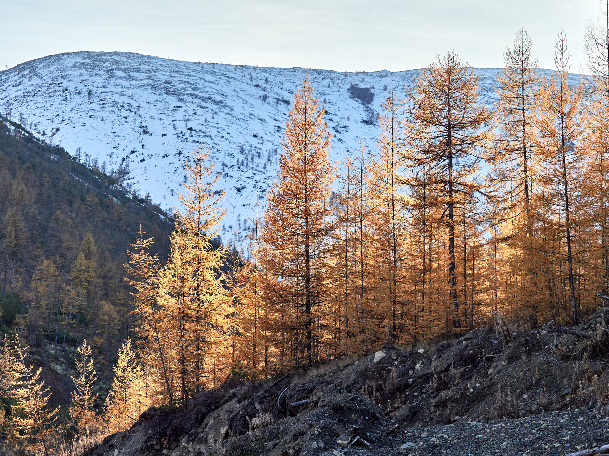 My beautiful Kolyma - My, Kolyma, Landscape, Longpost, The sun, Berries, Blueberry, Autumn