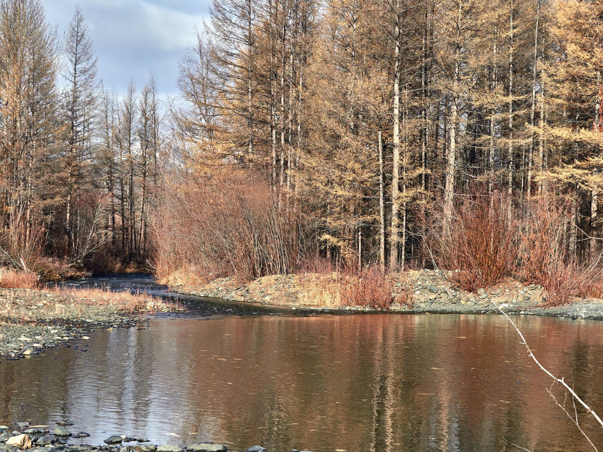 My beautiful Kolyma - My, Kolyma, Landscape, Longpost, The sun, Berries, Blueberry, Autumn