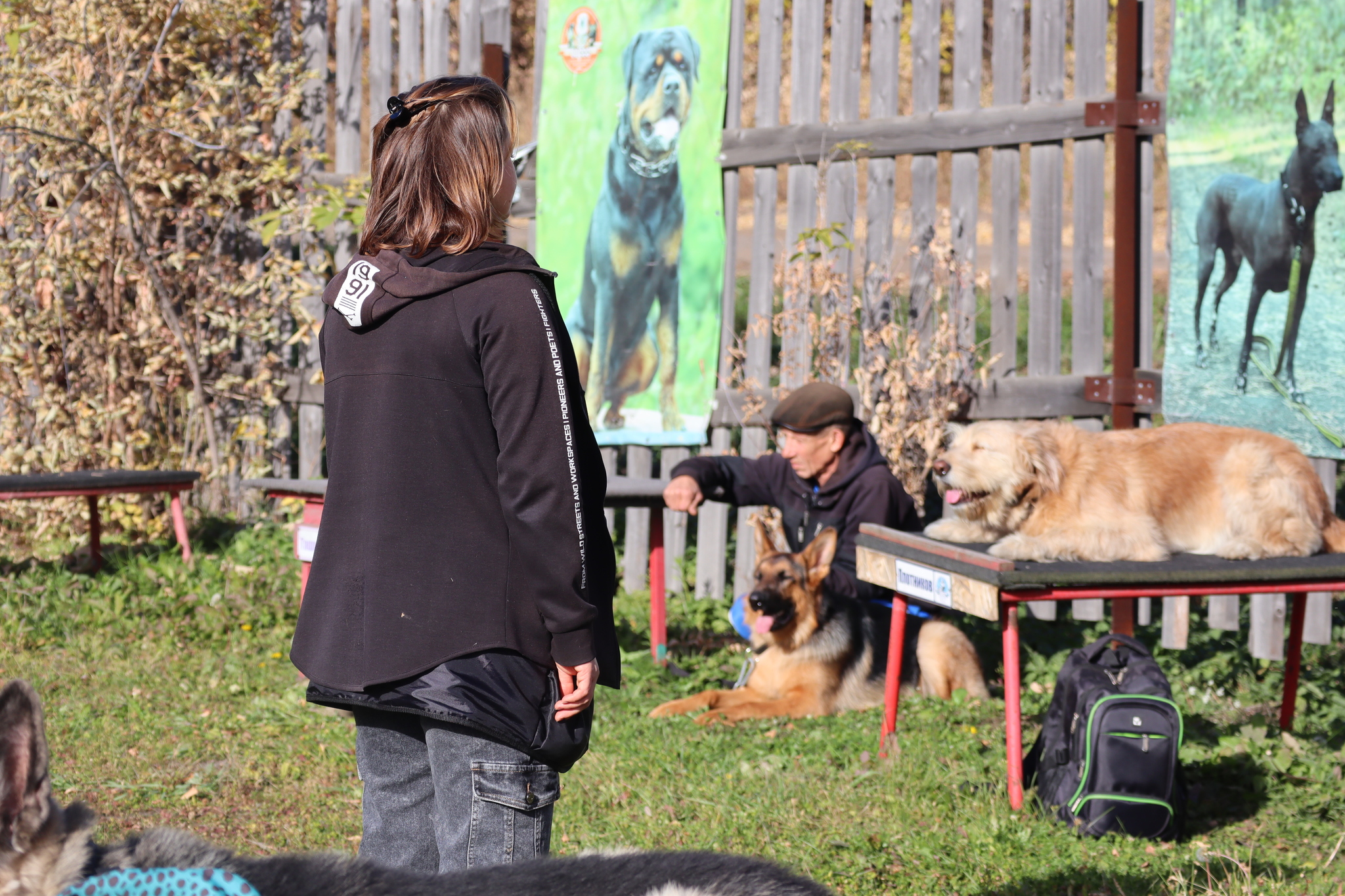 Dog training in Omsk - OCSSSS 05 - 10 - 2024 - Dog, Dog lovers, Puppies, Omsk, Training, Г“Г±Г±Г±, Friend, Care, Friends, Longpost