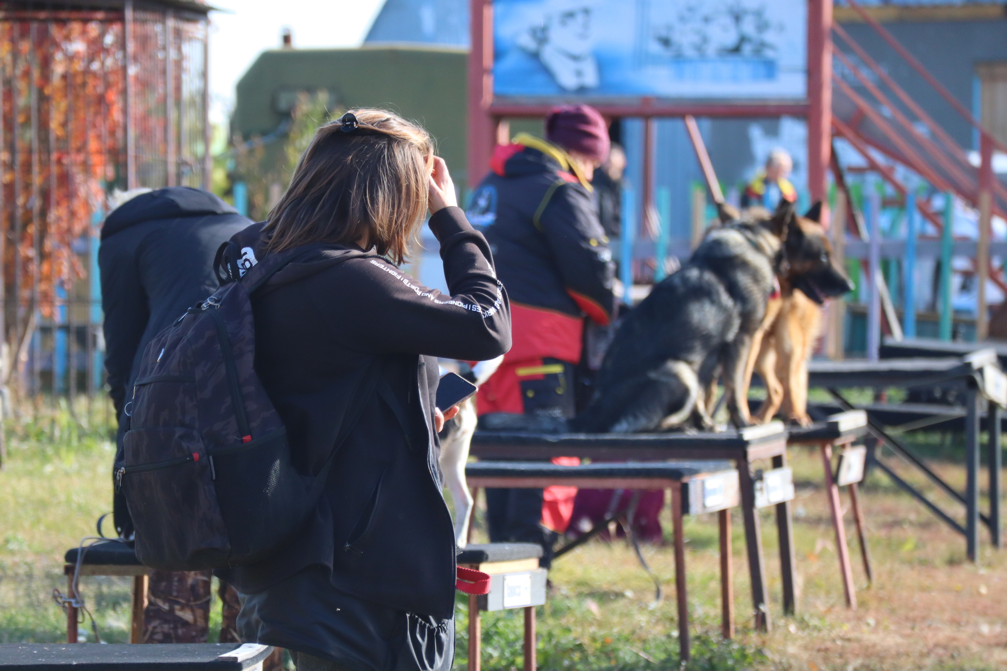 Dog training in Omsk - OCSSSS 05 - 10 - 2024 - Dog, Dog lovers, Puppies, Omsk, Training, Г“Г±Г±Г±, Friend, Care, Friends, Longpost