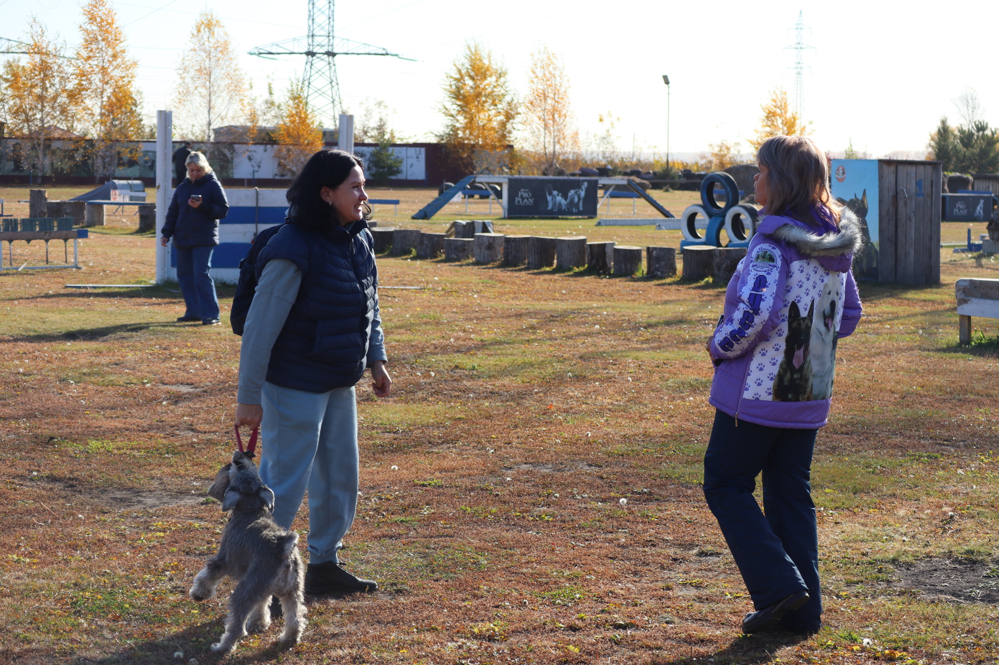 Dog training in Omsk - OCSSSS 05 - 10 - 2024 - Dog, Dog lovers, Puppies, Omsk, Training, Г“Г±Г±Г±, Friend, Care, Friends, Longpost