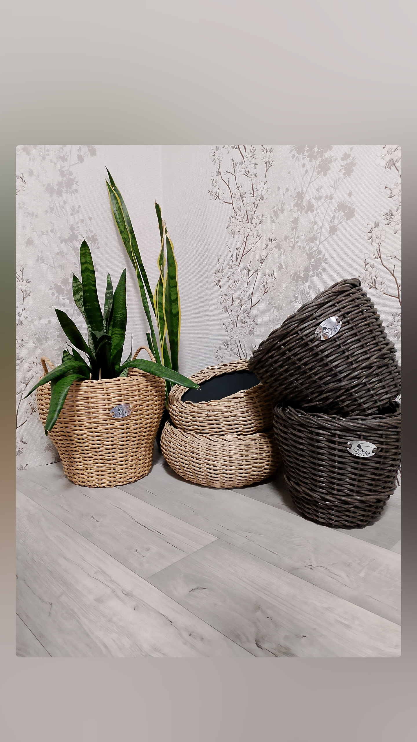 Flowerpot - My, Rattan, For home