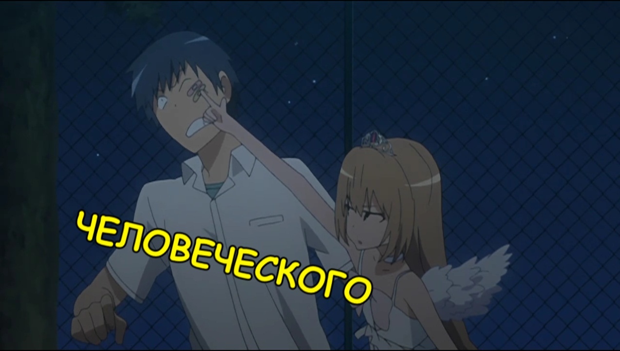 Go for a walk in the yard - Anime, Toradora, Anime memes, Longpost