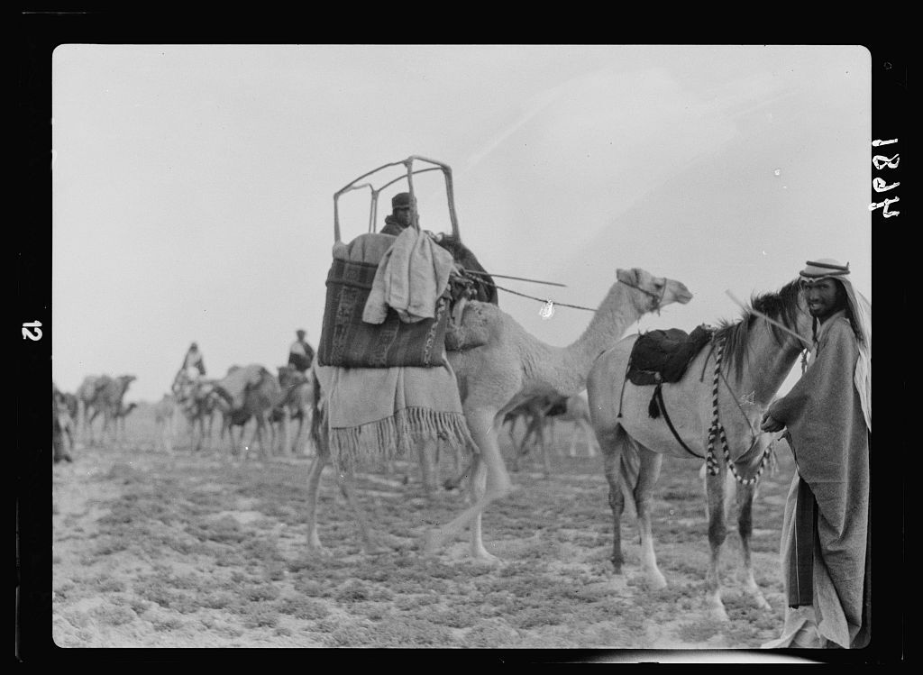 Развалины Вавилона на фотографиях 1932 года - История (наука), Археология, Историческое фото, Прошлое, Старое фото, Вавилон, 1932, Черно-белое фото, Длиннопост