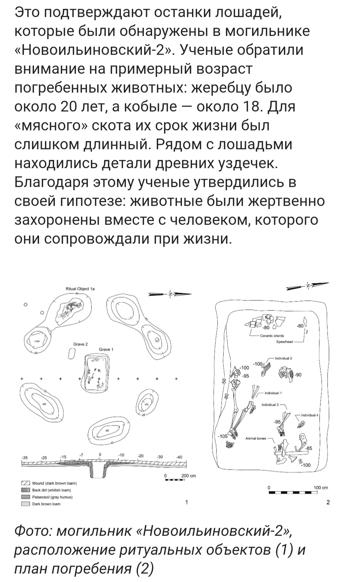 Глава 9 Кто есть арья? - Моё, История (наука), Археология, Древние артефакты, История России, Арии, Древний мир, Русь, Бронзовый век, Длиннопост