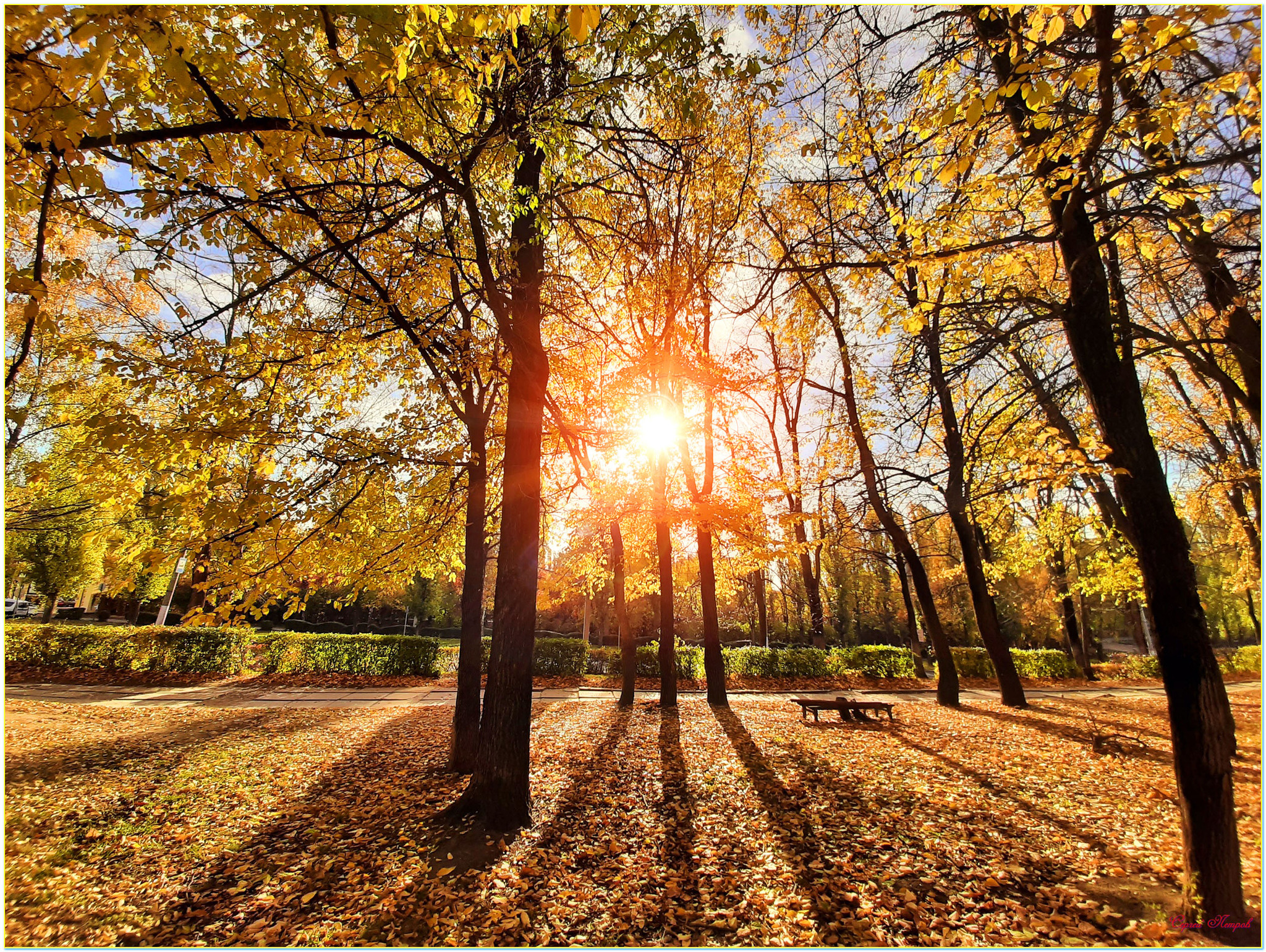 In the autumn park - My, The photo, Nature, Landscape, Autumn, The park