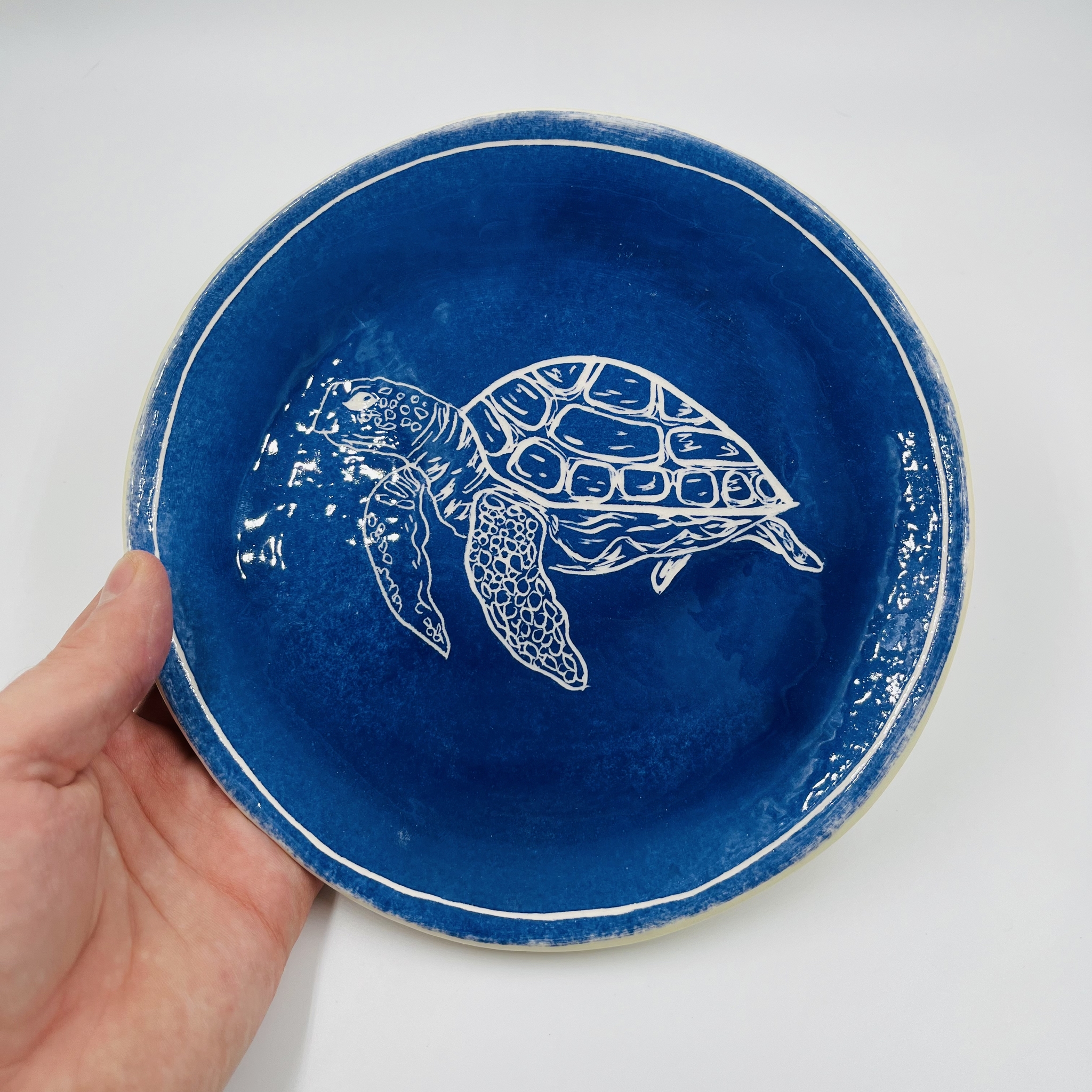 Ceramics handmade plate - Ceramics, Plate, Handmade, Turtle, Telegram (link), Instagram (link), Longpost