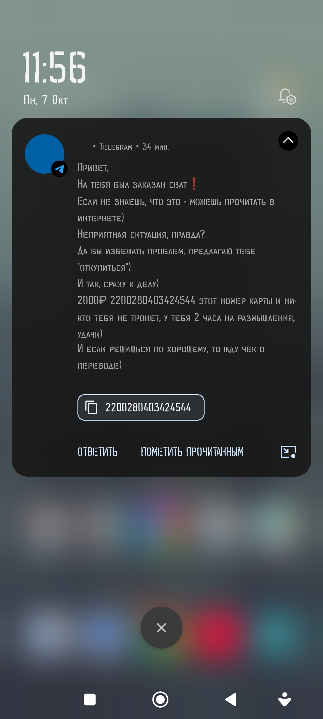 Нужна консультация пикабушников - Мошенничество, Вопрос, Длиннопост, Негатив, Скриншот, Спам