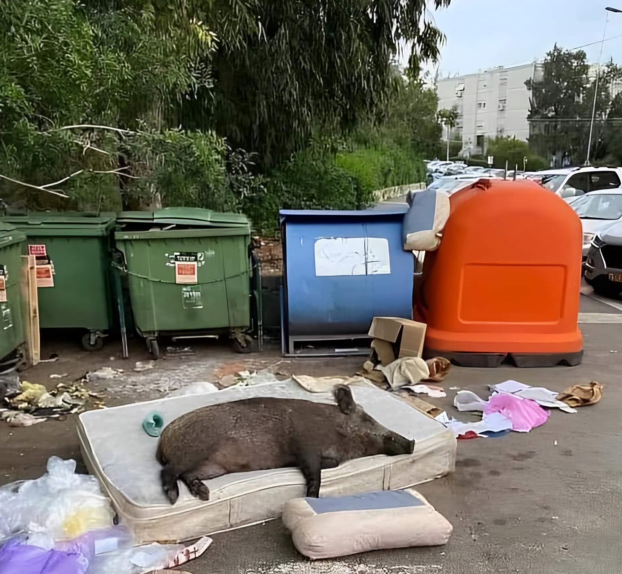 Пока на расслабоне, на чиле - Можно раслабится, Хрюндель, Мусорные баки