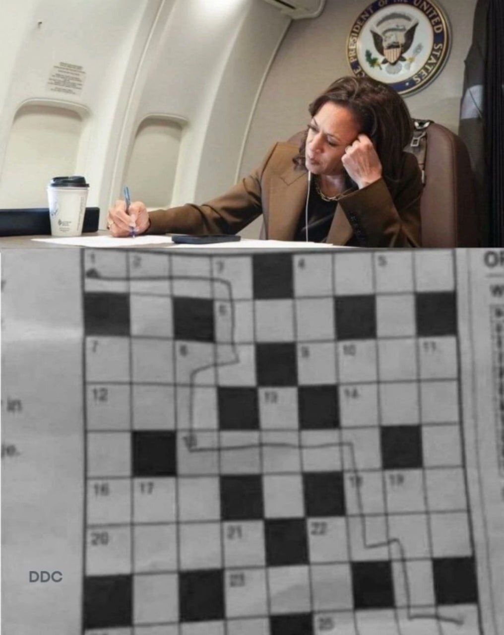 Miscalculated, but where? - USA, Politics, Humor, Kamala Harris, Crossword