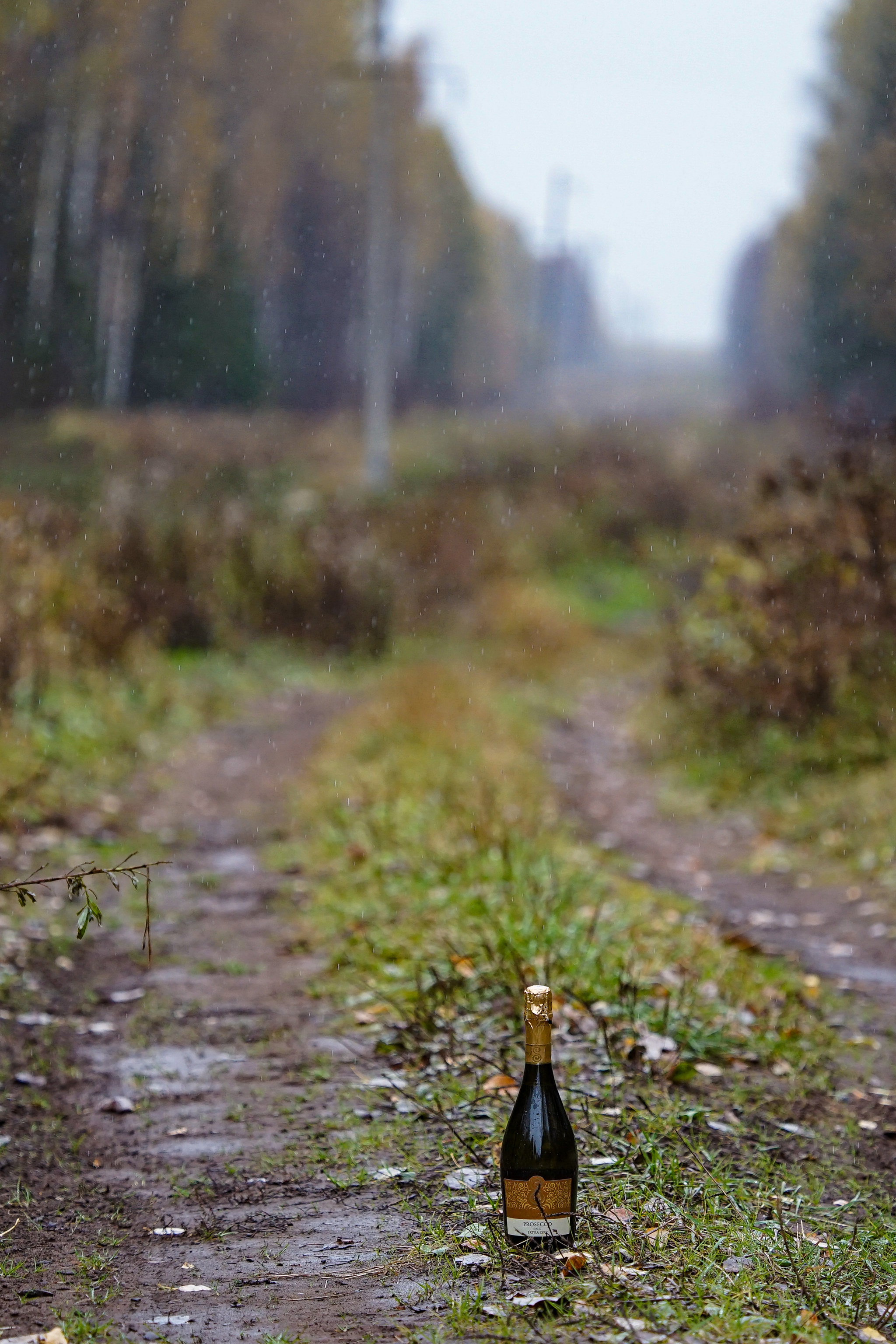 Autumn - My, Autumn, The photo, clearing, Prosecco, Strange humor, Longpost