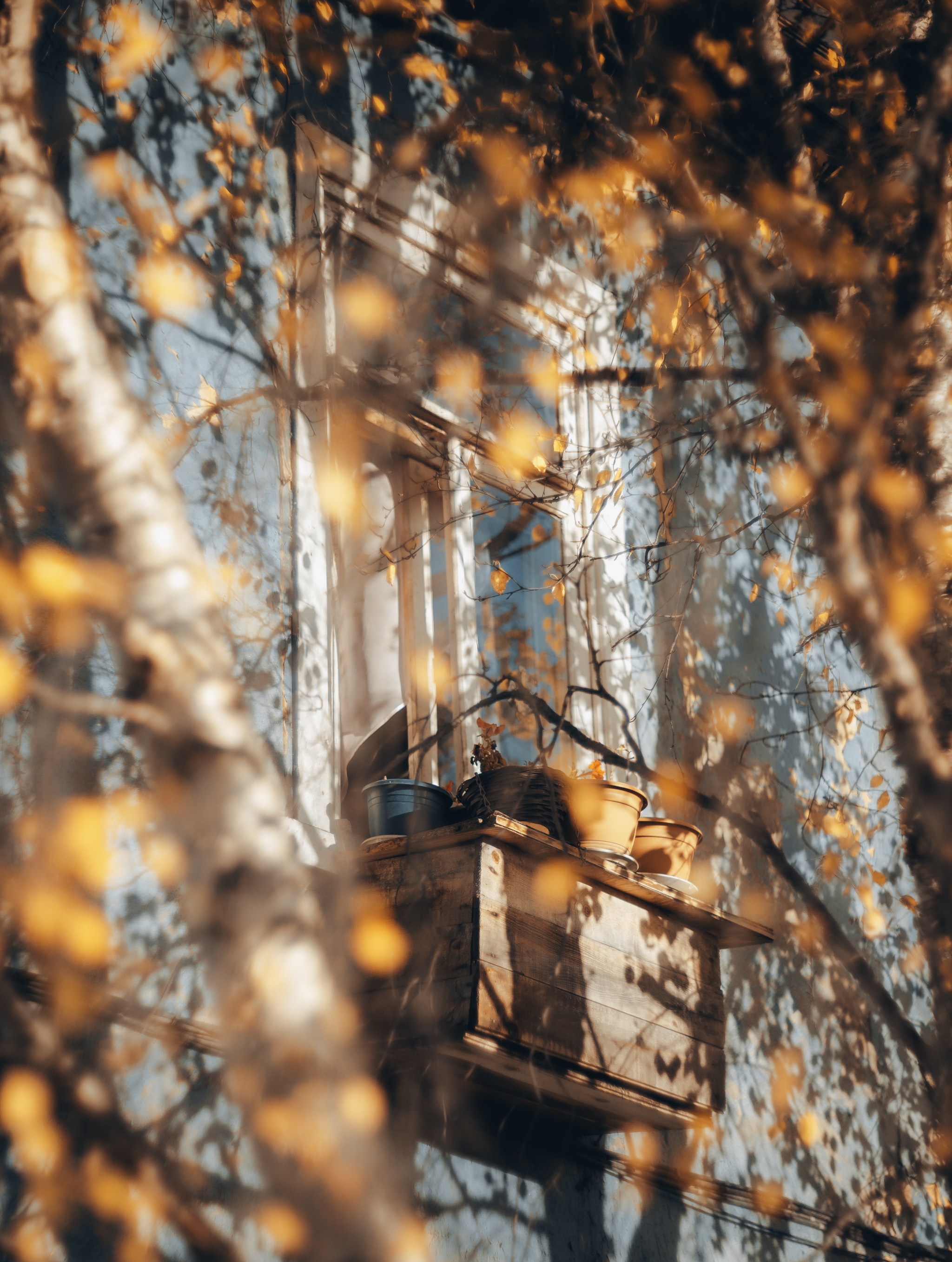 Autumn walk along Bondarnaya and Pervomayskaya streets - My, Murmansk, Kola Peninsula, Longpost