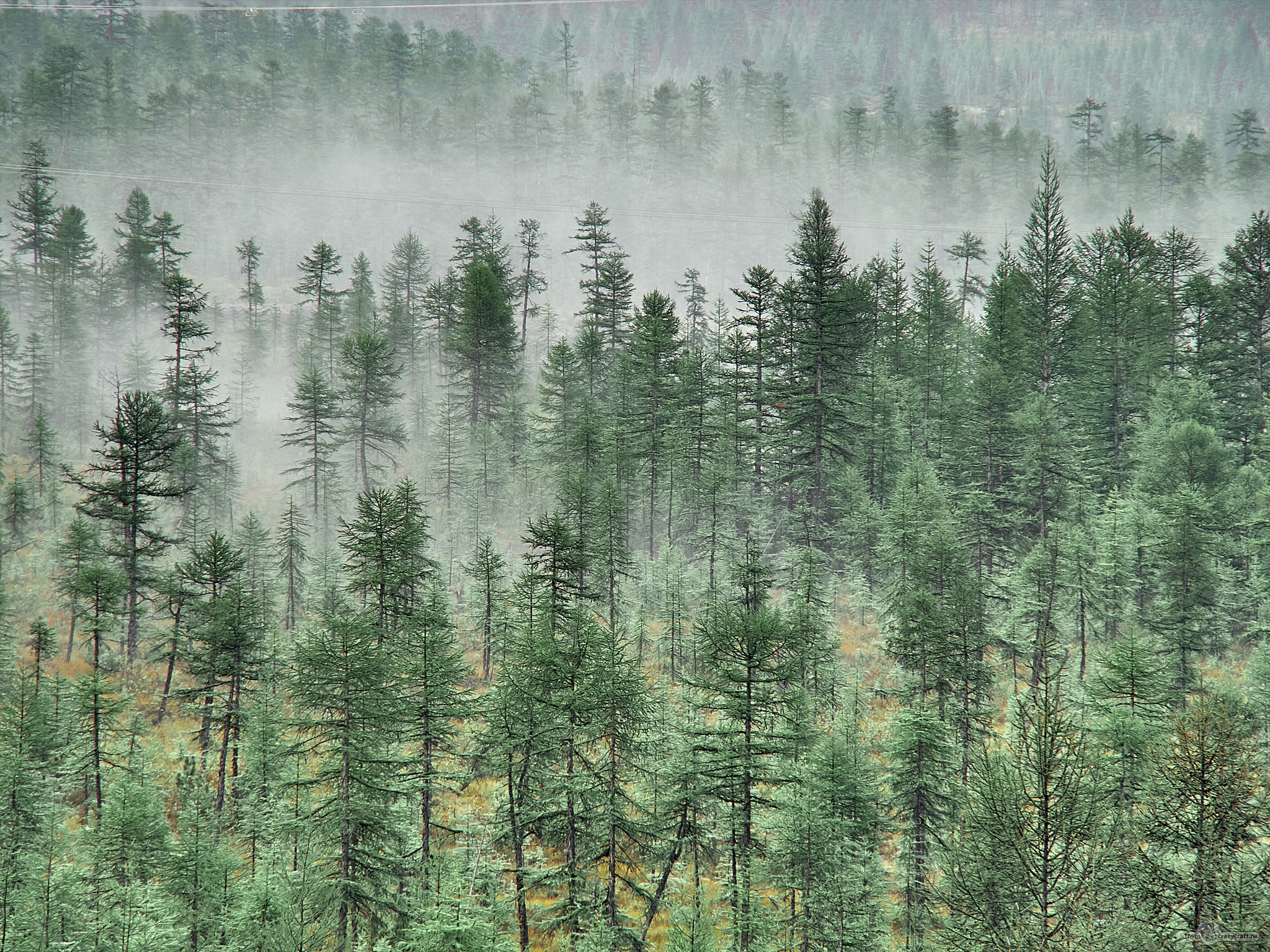 My beautiful Kolyma (summer) - My, Kolyma, Landscape, Summer, Longpost, River, Mountain river, Mountain road, Fog, Forest, Taiga, dawn, The sun