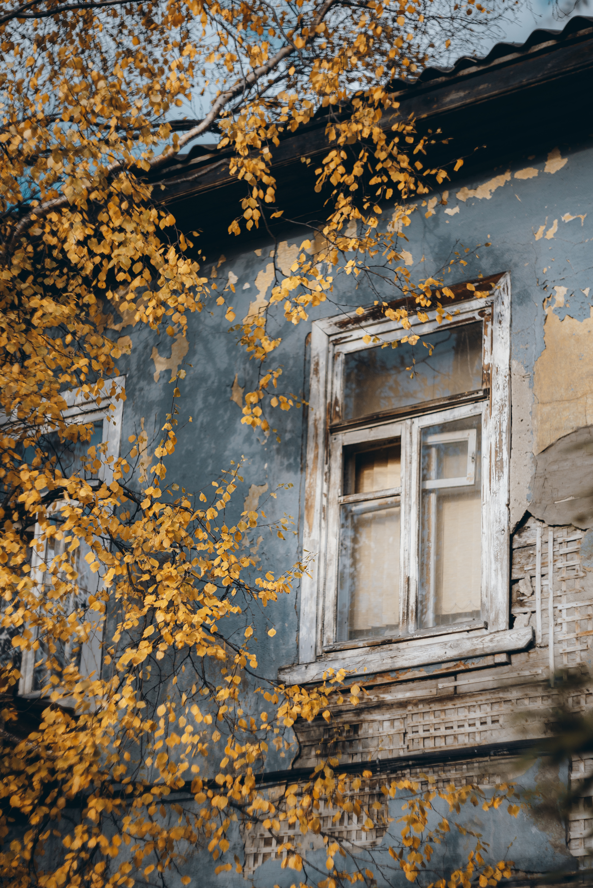 Autumn walk along Bondarnaya and Pervomayskaya streets - My, Murmansk, Kola Peninsula, Longpost