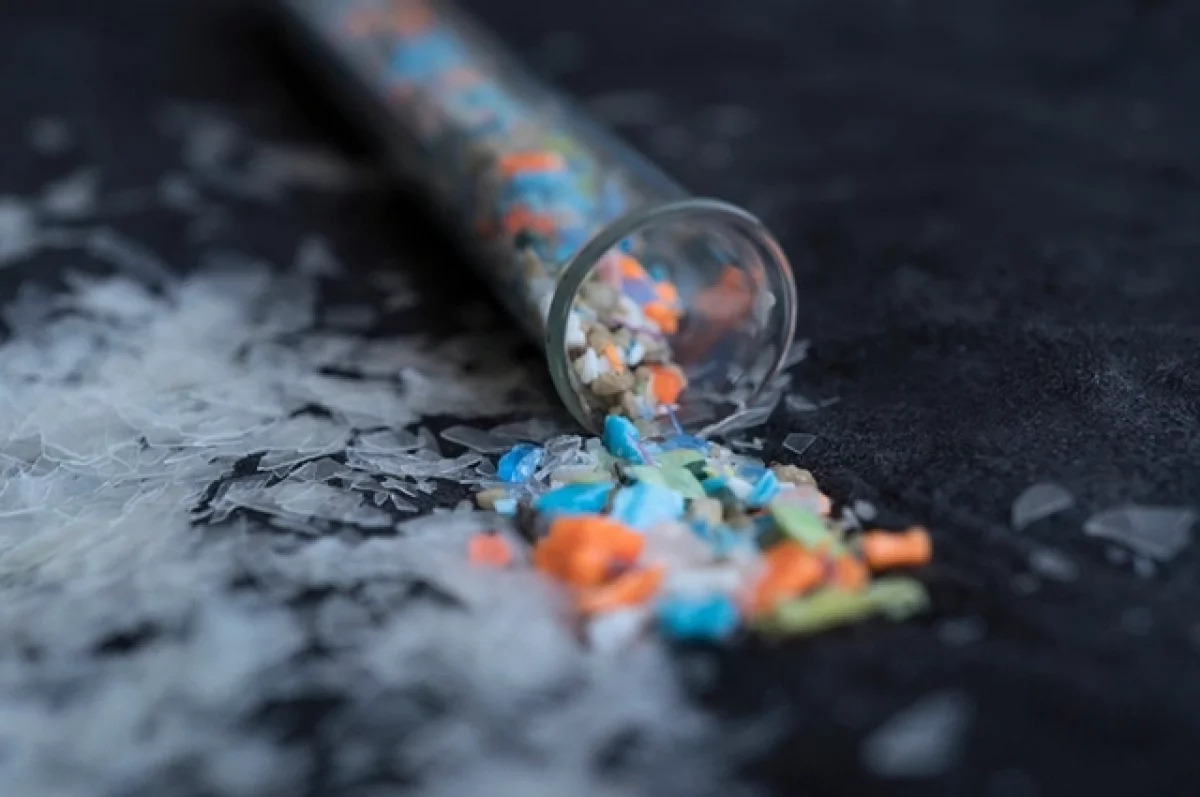 Microplastics can penetrate brain tissue, study finds - Research, The science, Scientists, Ecology, Nauchpop, Plastic, Garbage, Yandex Zen (link), Longpost