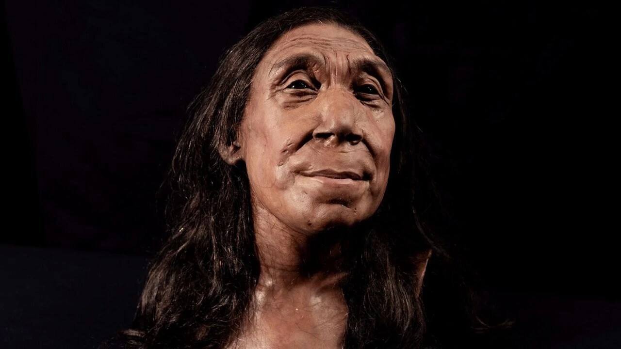 Neanderthal Woman From Iraq Has Brown Hair (And A Determined Stare) - My, Archeology, Nauchpop, Scientists, The science, Research, Longpost