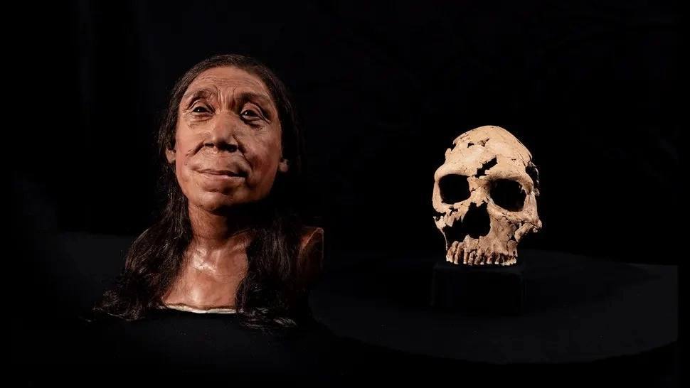 Neanderthal Woman From Iraq Has Brown Hair (And A Determined Stare) - My, Archeology, Nauchpop, Scientists, The science, Research, Longpost