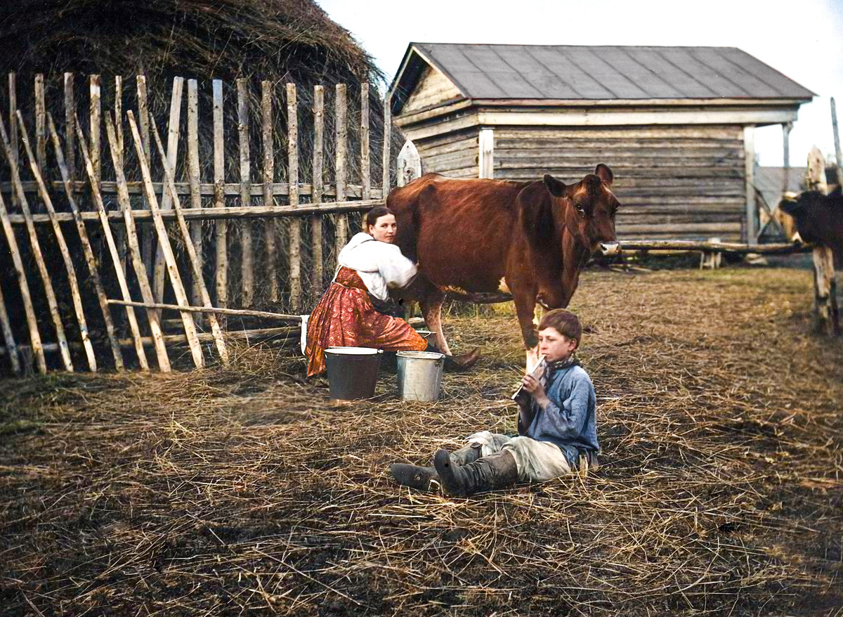 Amazing and interesting photographs of the Moscow region from the times of pre-revolutionary Russia. 20 colorized photographs. Part II - My, Historical photo, Old photo, History, Local history, Cities of Russia, Colorization, 19th century, 20th century, Moscow region, Российская империя, Zaraysk, Kolomna, Yegoryevsk, Odintsovo, Podolsk, Serpukhov, Longpost