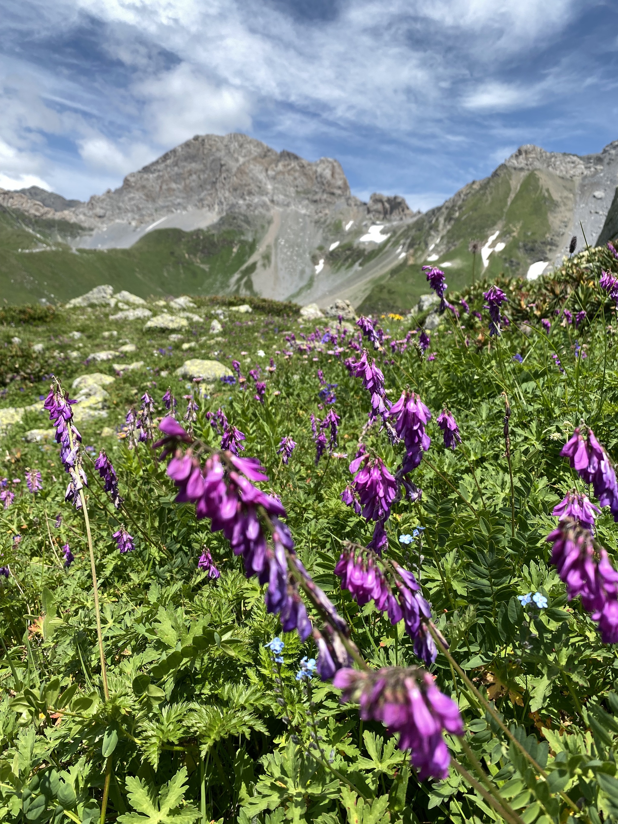 Photos from a summer hike - My, Caucasus, Karachay-Cherkessia, Mountain tourism, Travel across Russia, Longpost